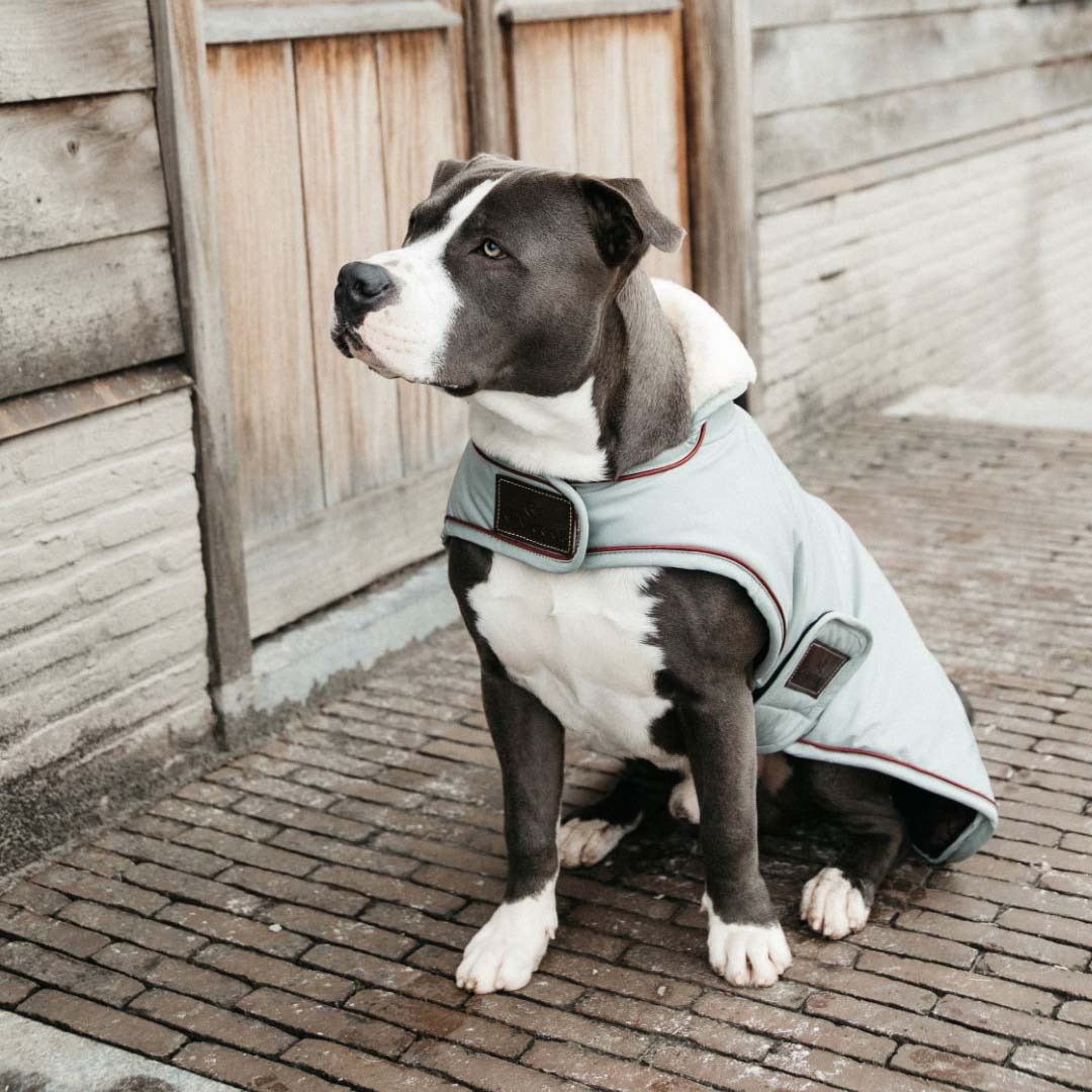 Kentucky Dog Coat Waterproof 160g Dusty Blue