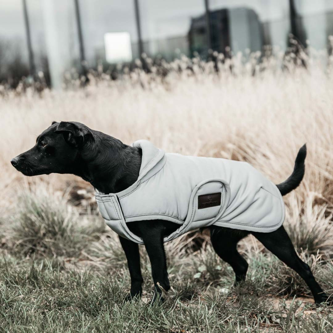 Kentucky Dog Coat Reflective & Water Repellent Belly Cover 150g