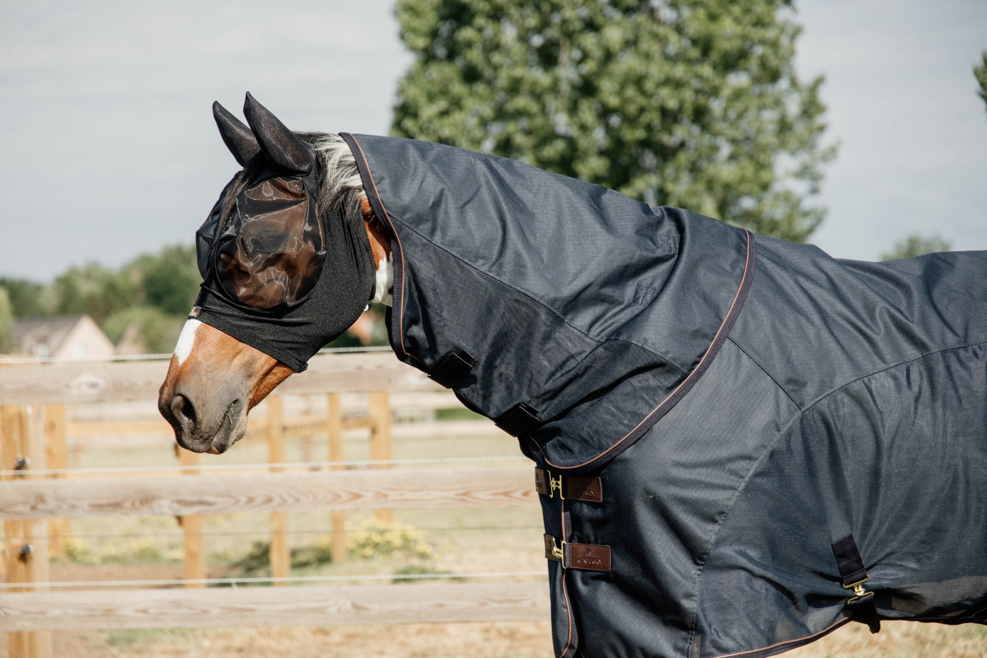 Kentucky Combo Vliegendeken Classic Waterdicht