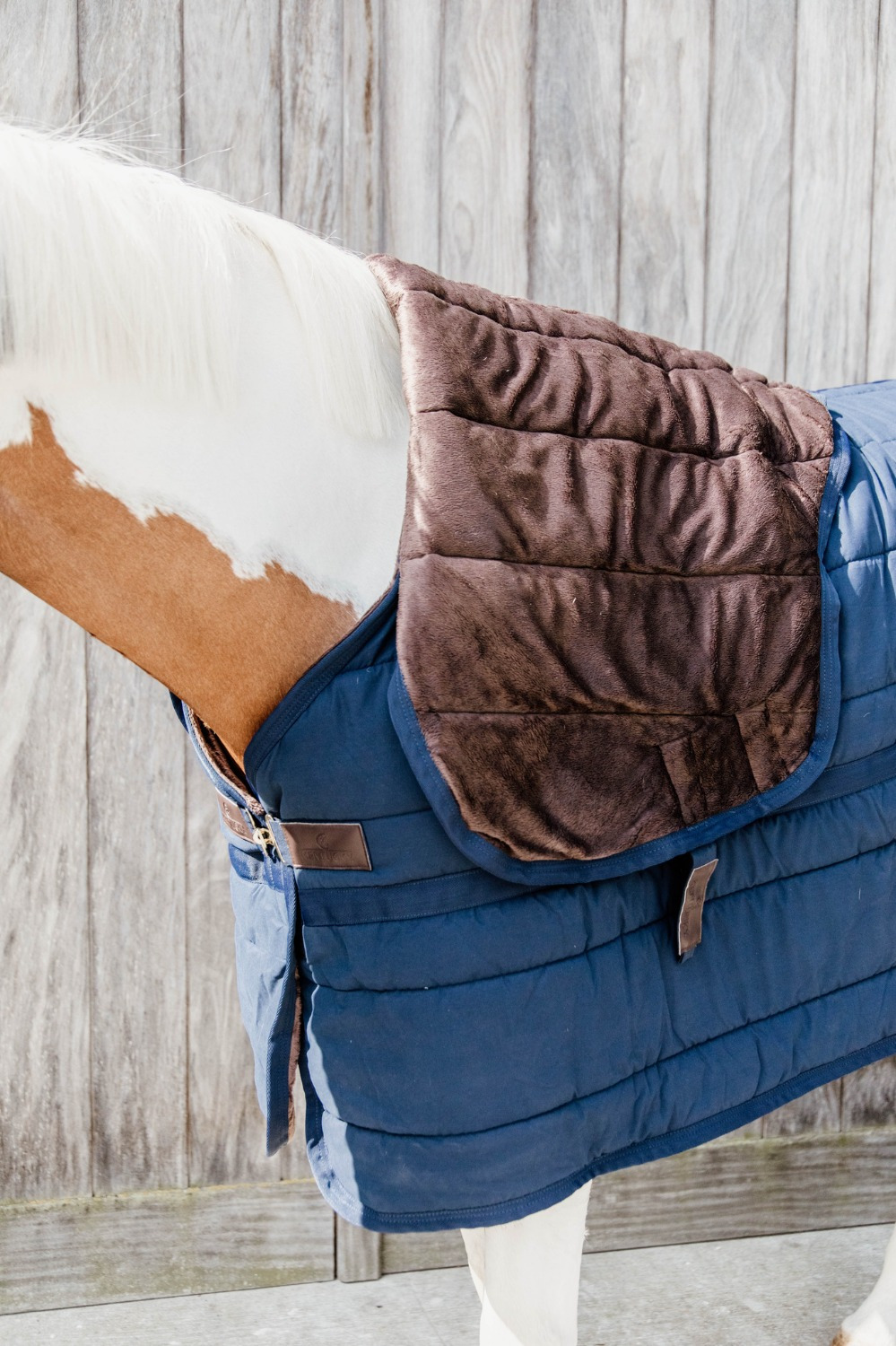 Kentucky Under Rug Skin Friendly Neck 150G
