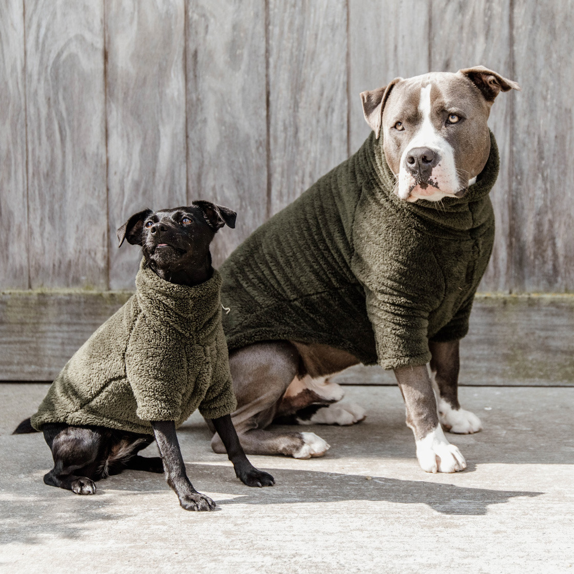 Kentucky Dog Sweater Teddy Fleece