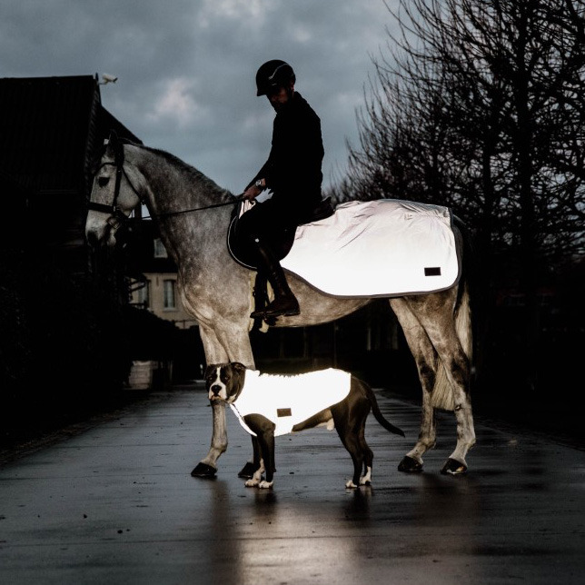 Kentucky Hundemantel Reflektierend & Wasserbeständig mit Bauchlatz 150 g