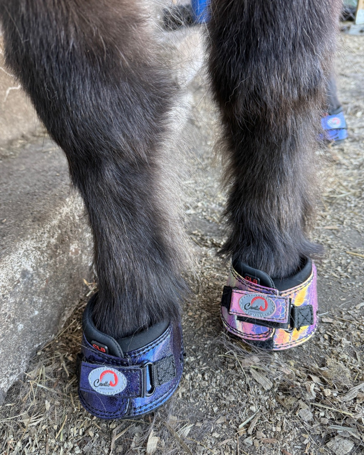 FRA Cavallo Hufschuhe CLB SLIM