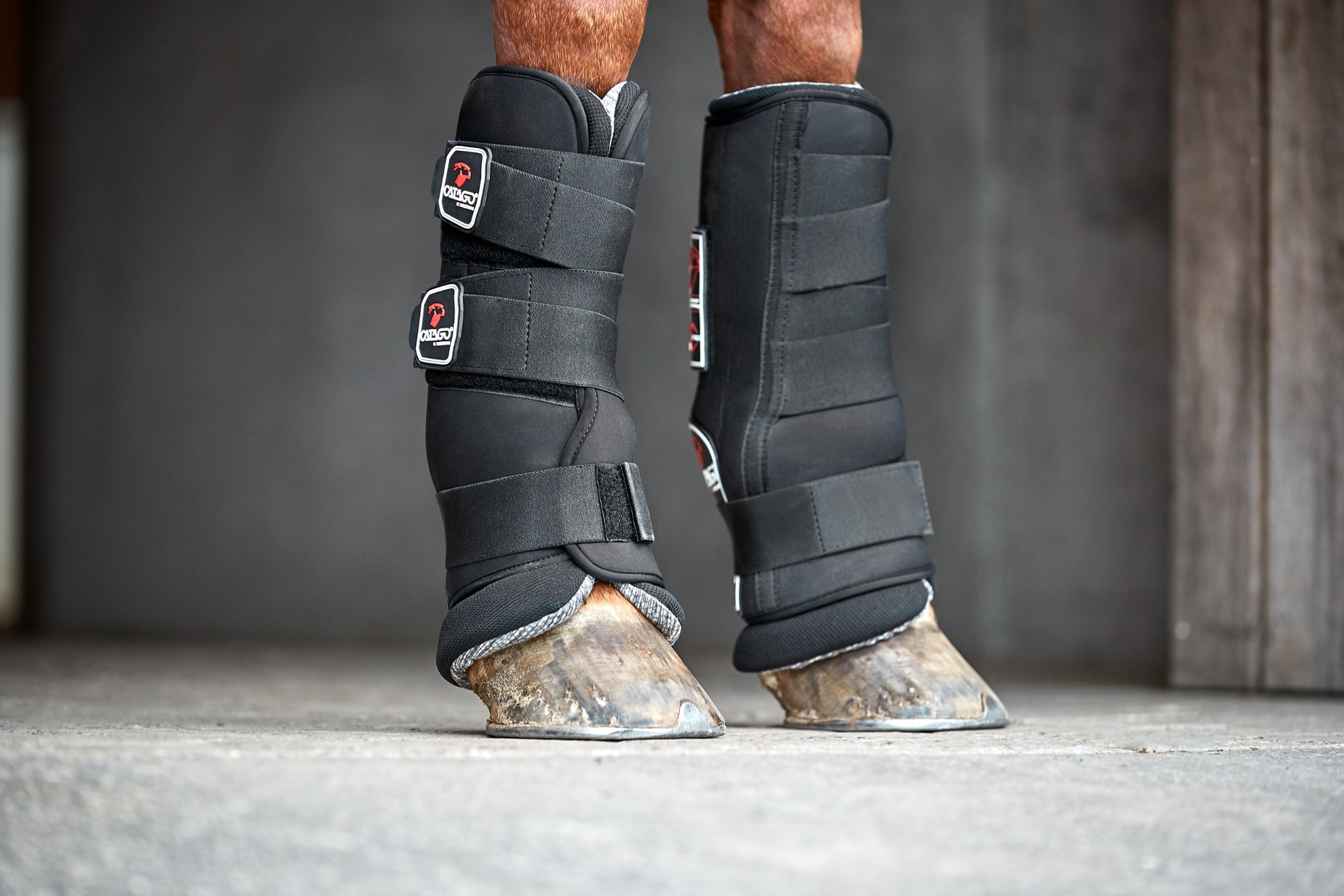 Catago Neopreen shell stable boot