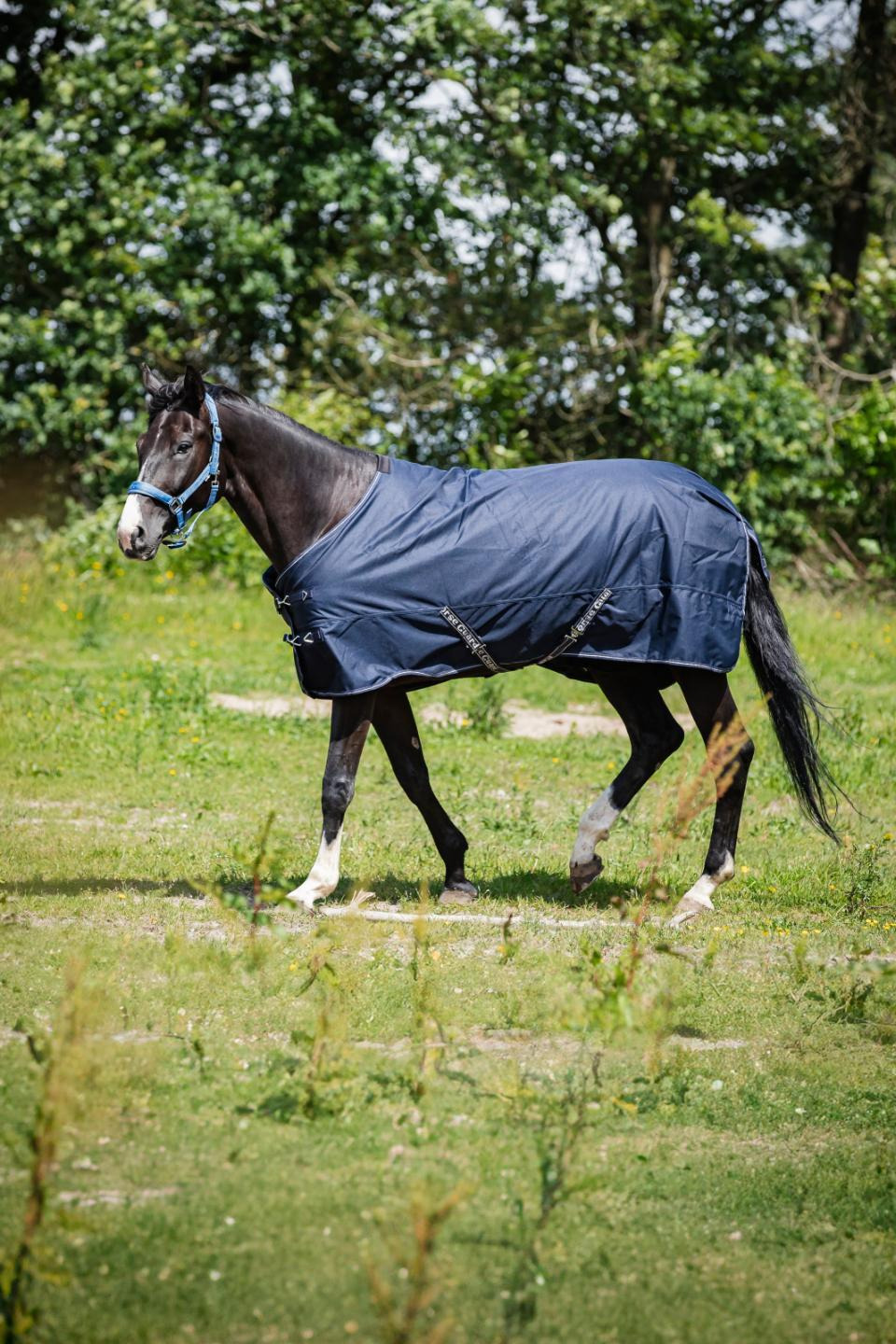 HorseGuard Turnoutdecke Landon 100 g