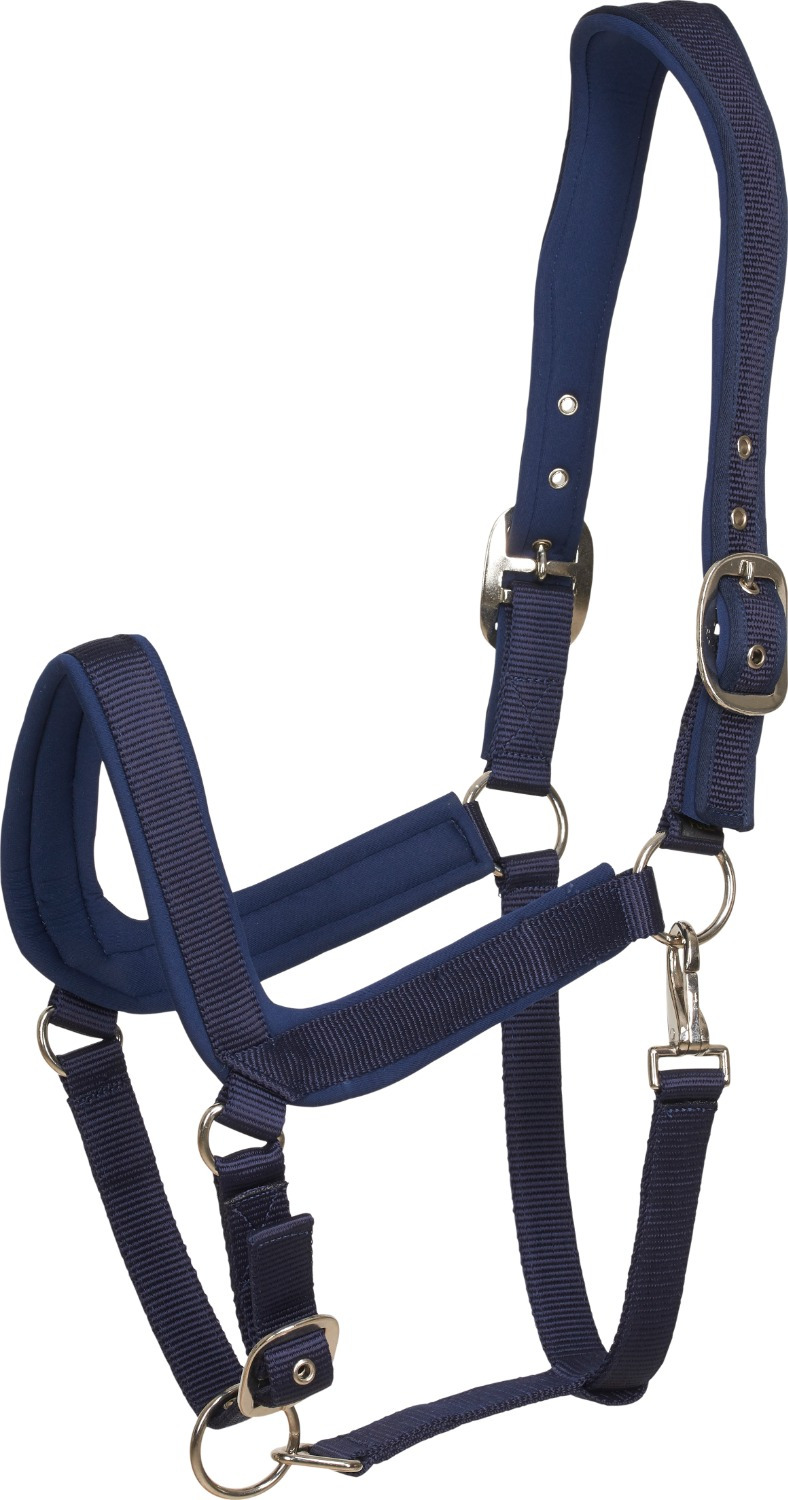 HorseGuard SS'23 anatomisches Halfter