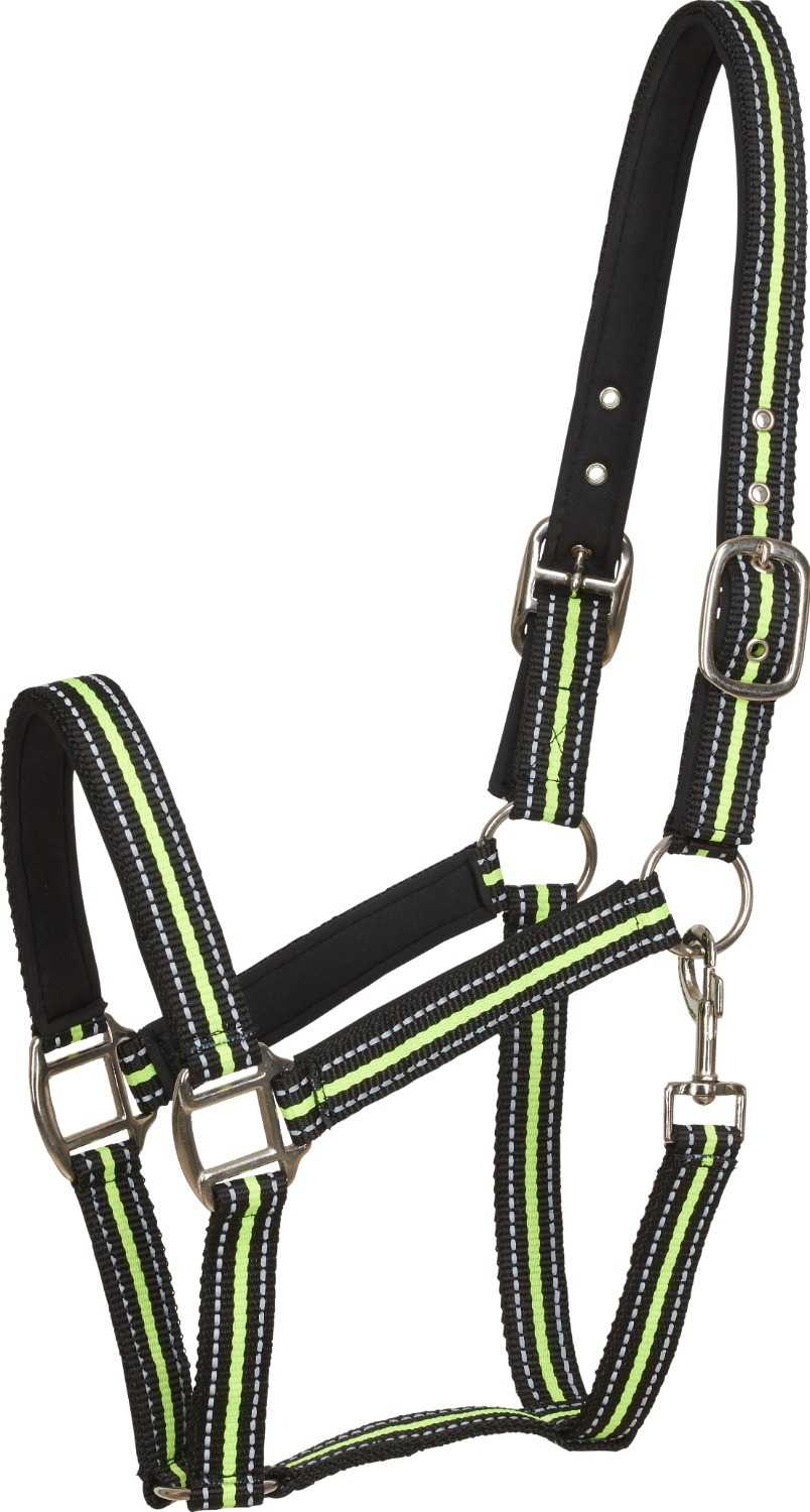 HorseGuard reflektierendes Halfter