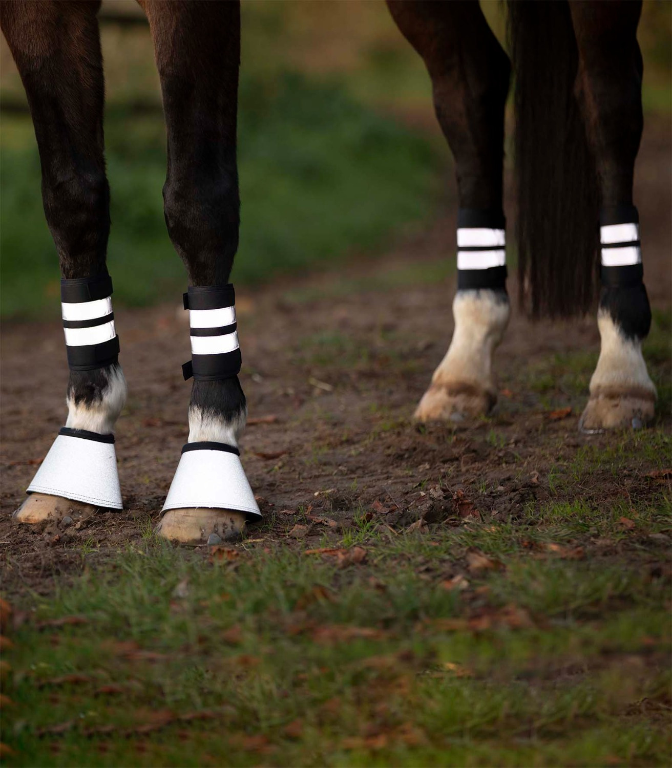 Waldhausen Reflective Bandages