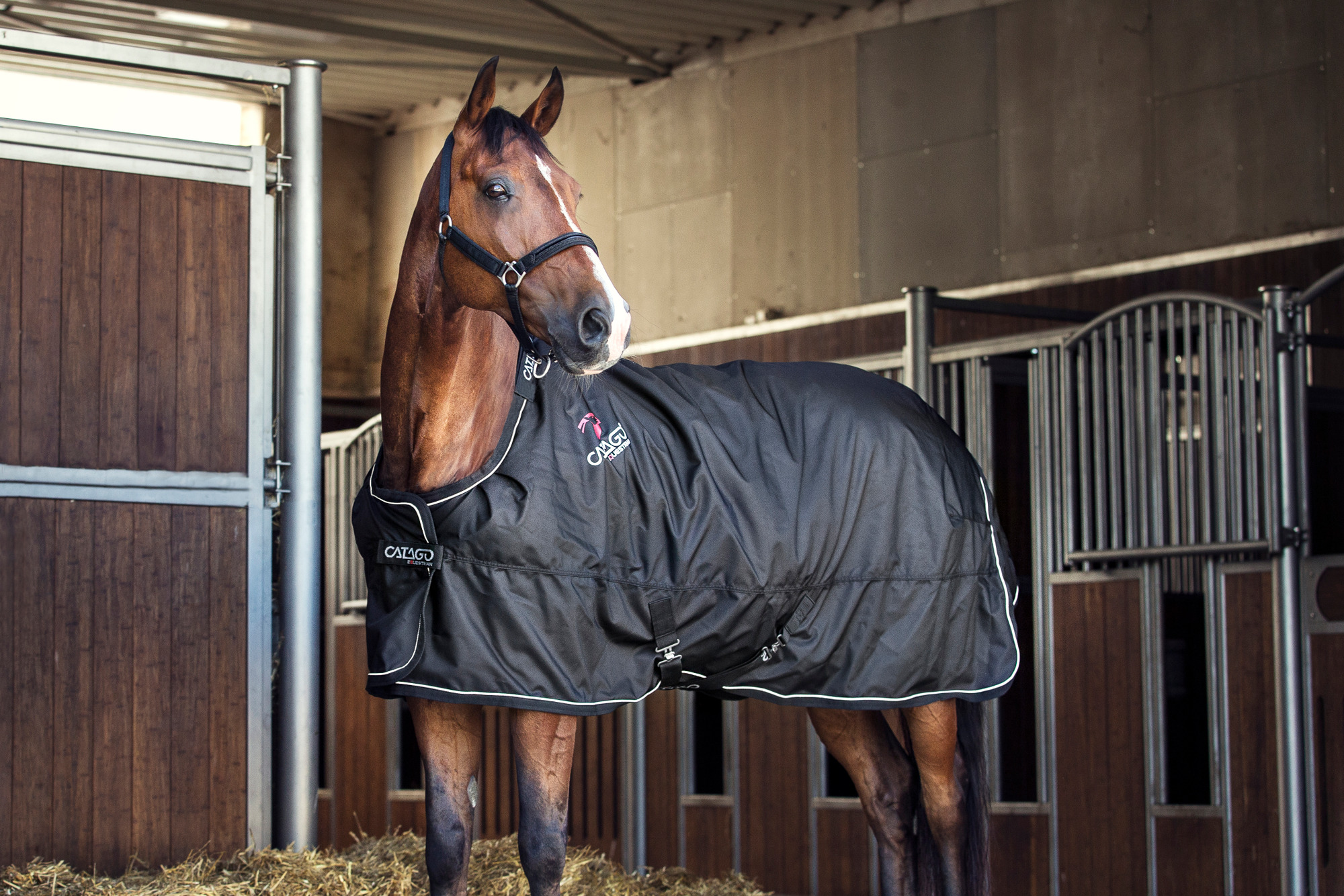 Catago Fir-Tech turnout rug 300g