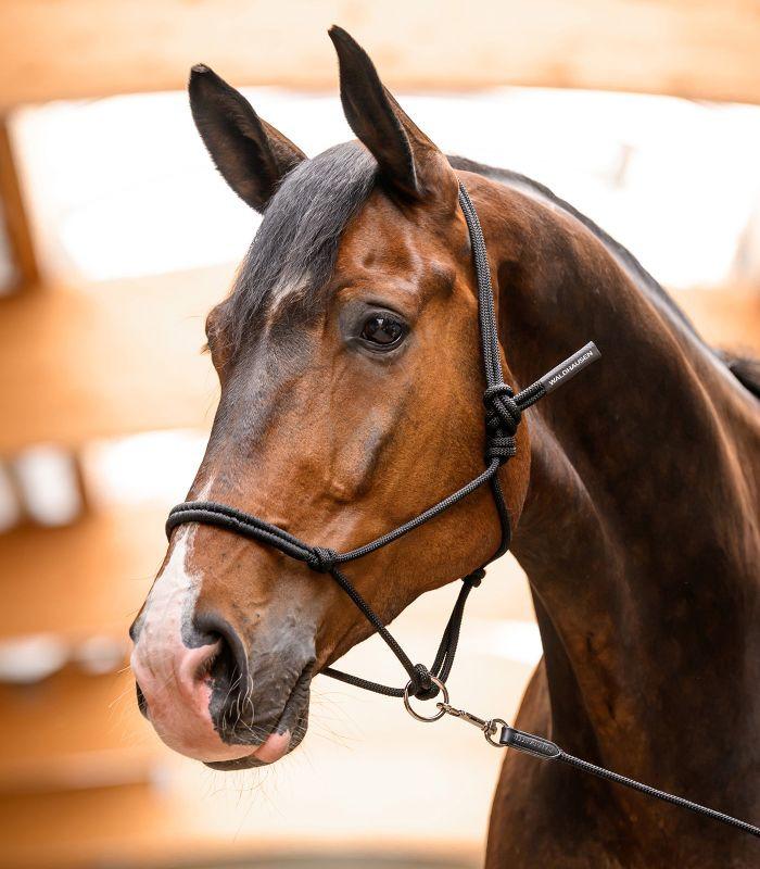 Waldhausen Rope Halter with Movable Ring