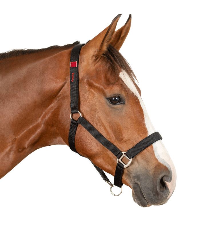 Waldhausen Safety halter
