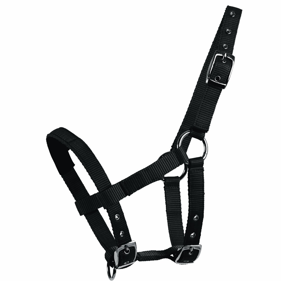 Waldhausen Halster Mini Shetty