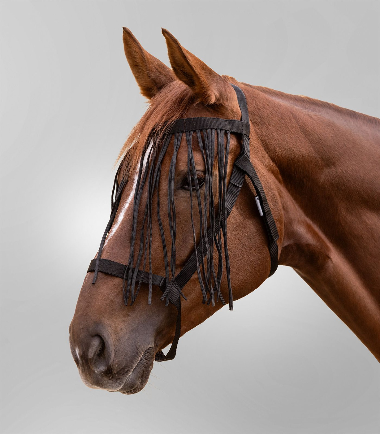 Waldhausen Halter with Fringes