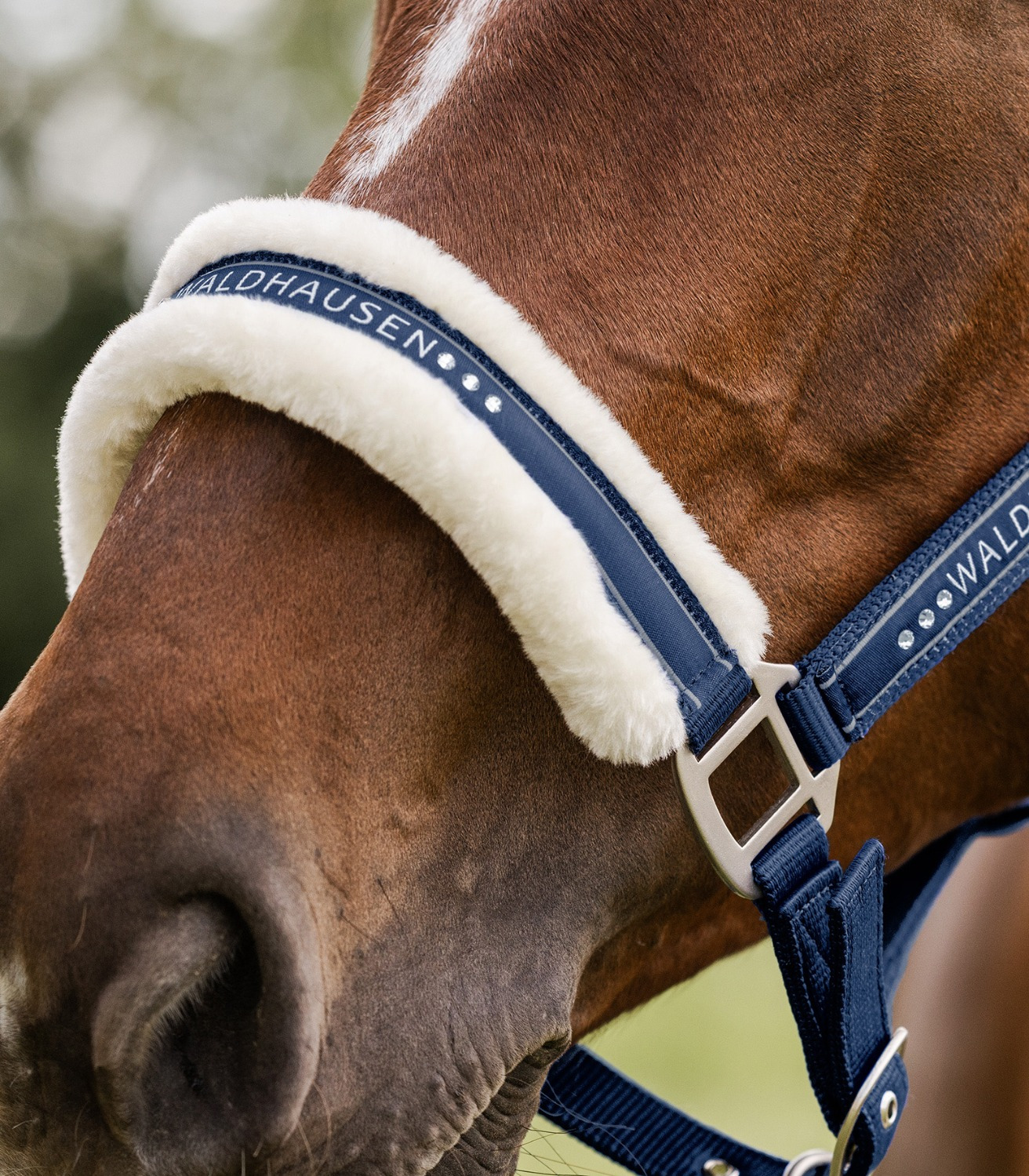 Waldhausen Halter Elegant