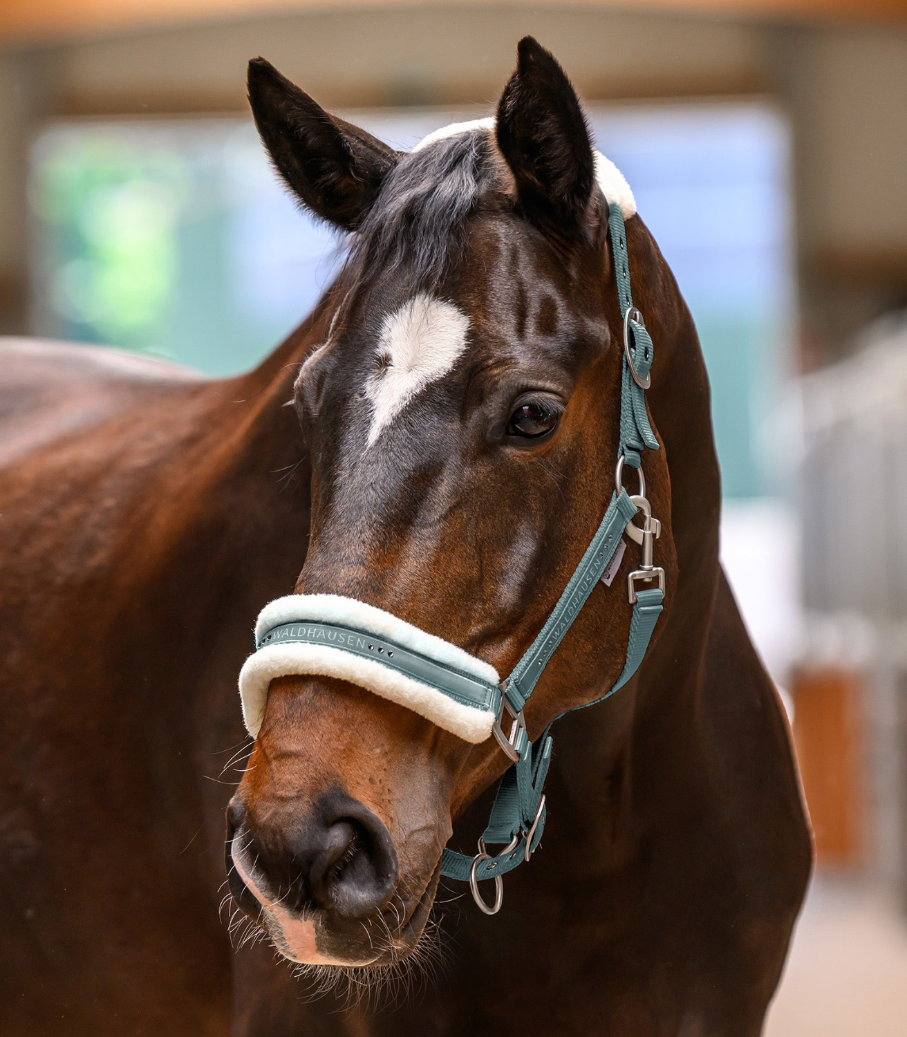 Waldhausen SS26 Halter Elegant