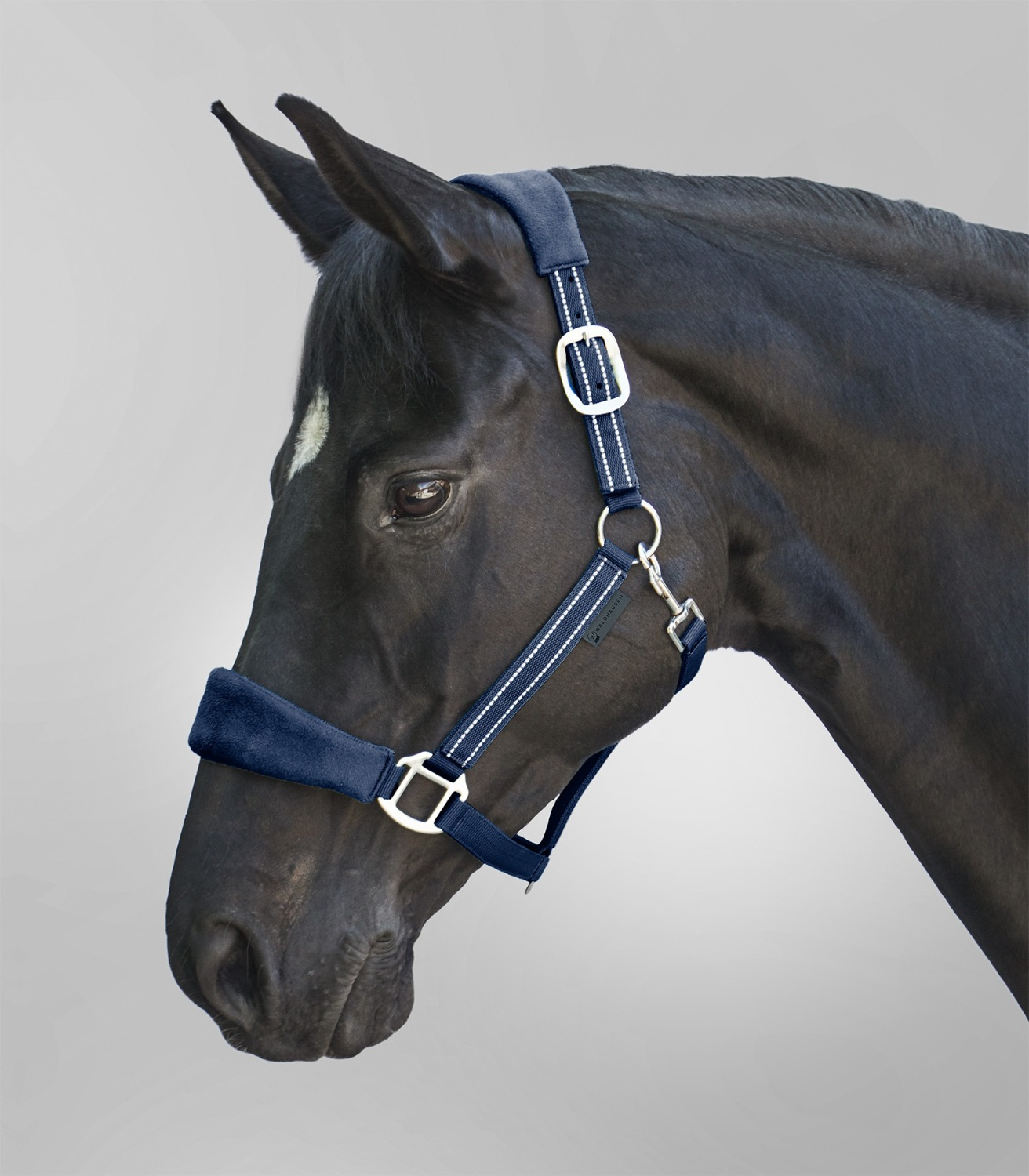 Waldhausen Halter Alcantara