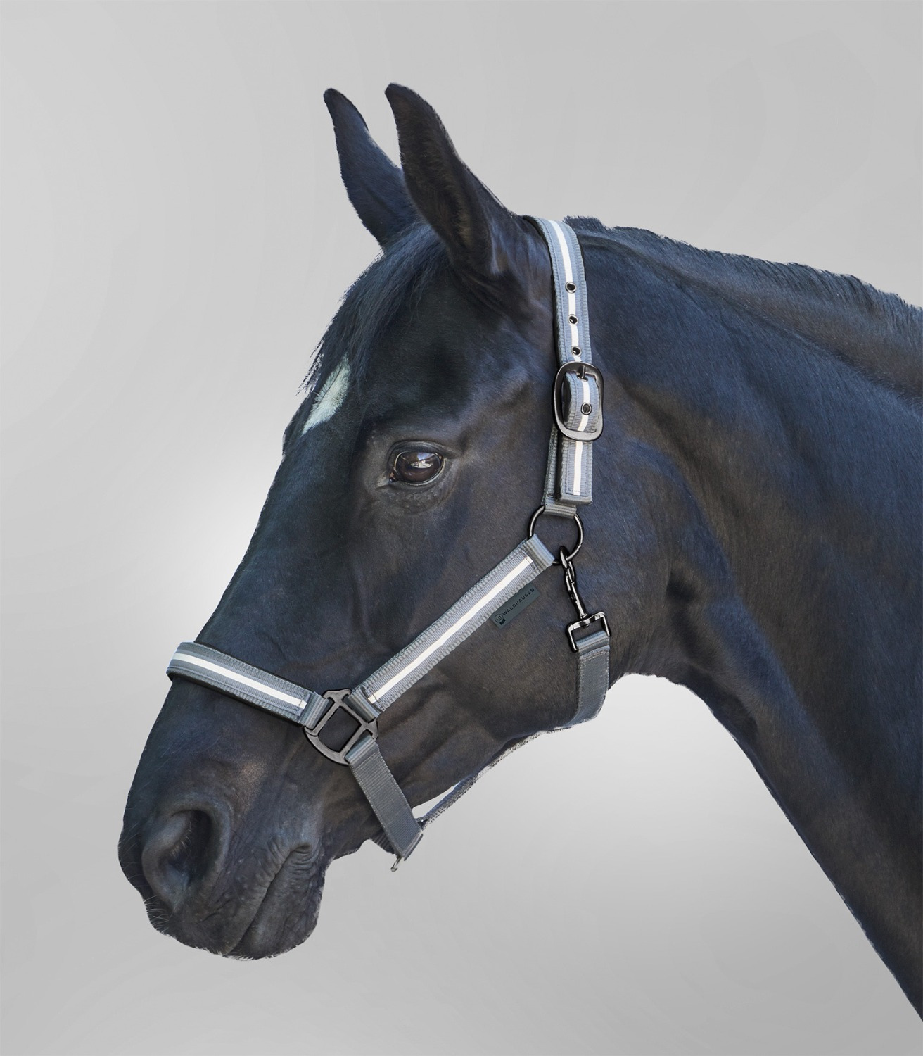 Waldhausen Reflex Halter Stripe