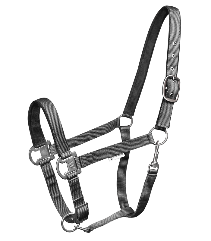 Waldhausen Halter Gloomy