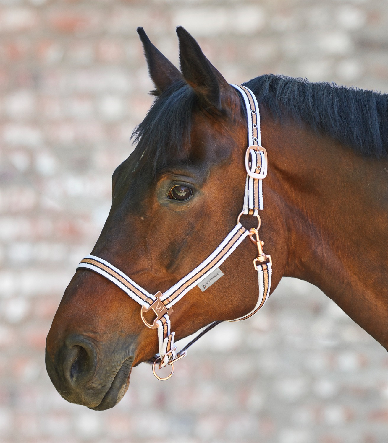Waldhausen Halter Shine