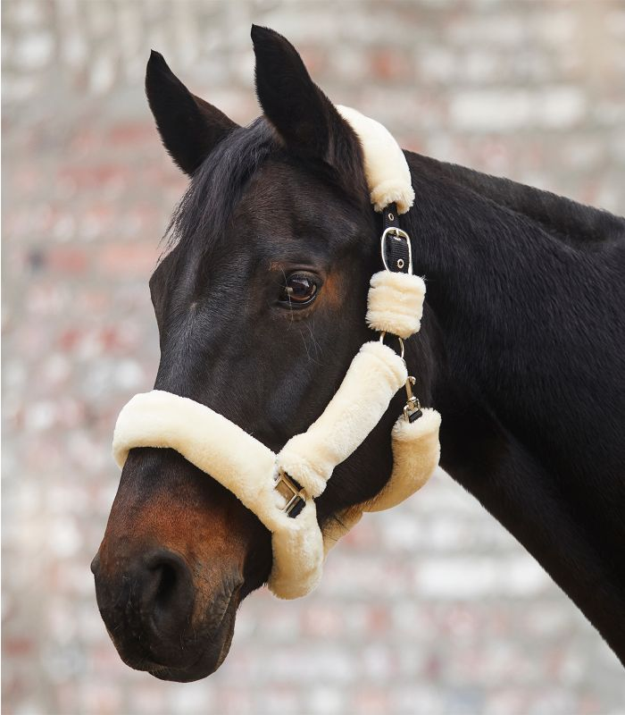 Waldhausen Halter Cozy