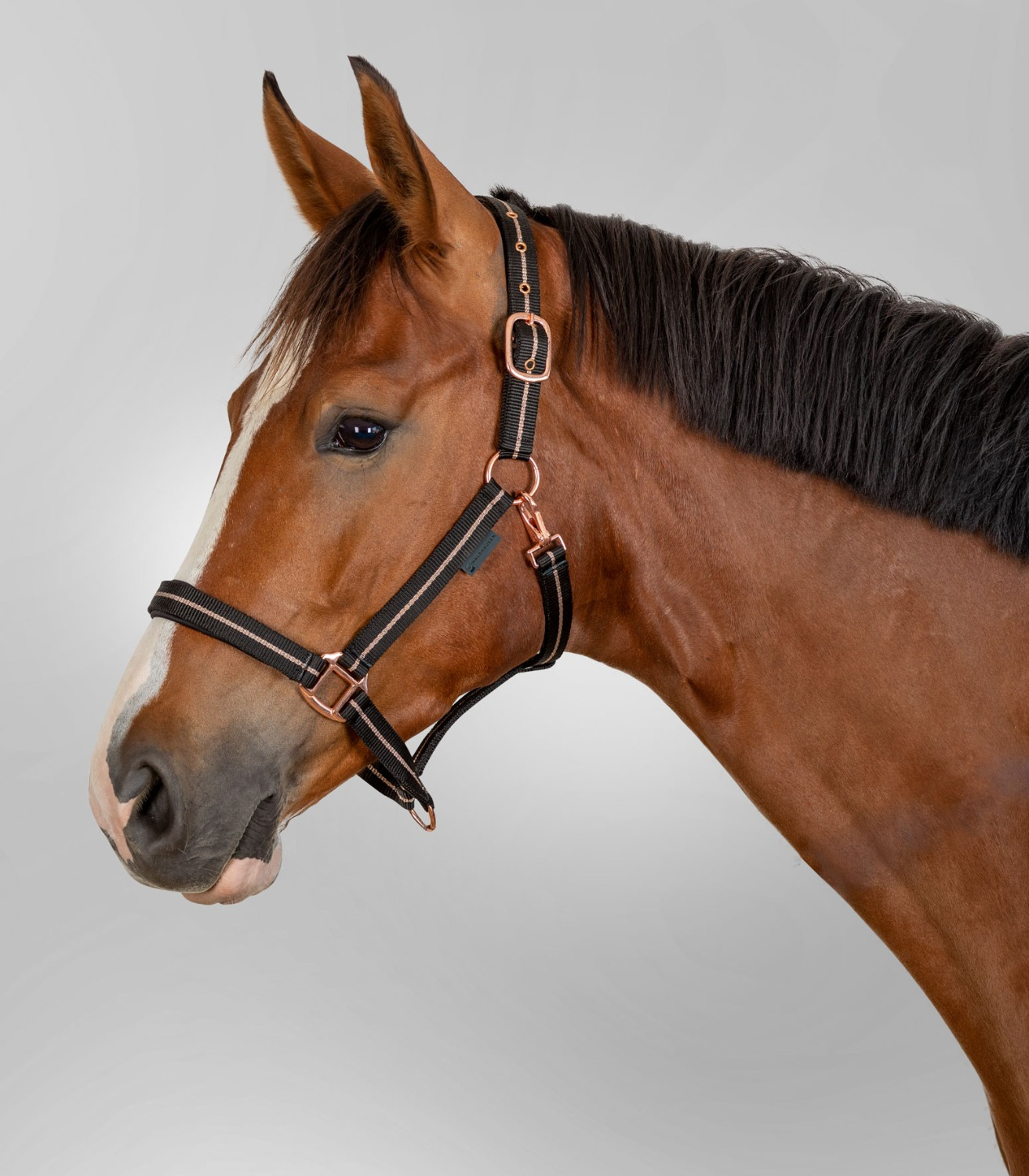 Waldhausen Halter Rosé