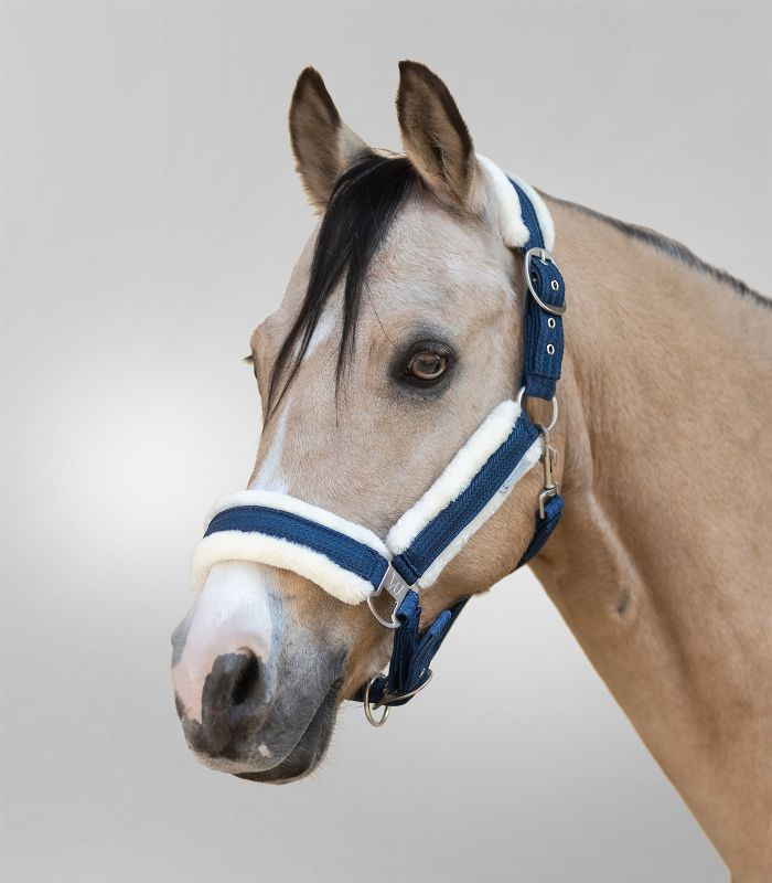 Waldhausen Halter Sparkel nightblue