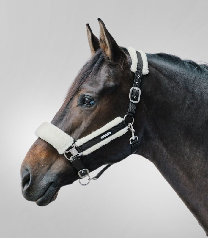 Waldhausen Halter Soft