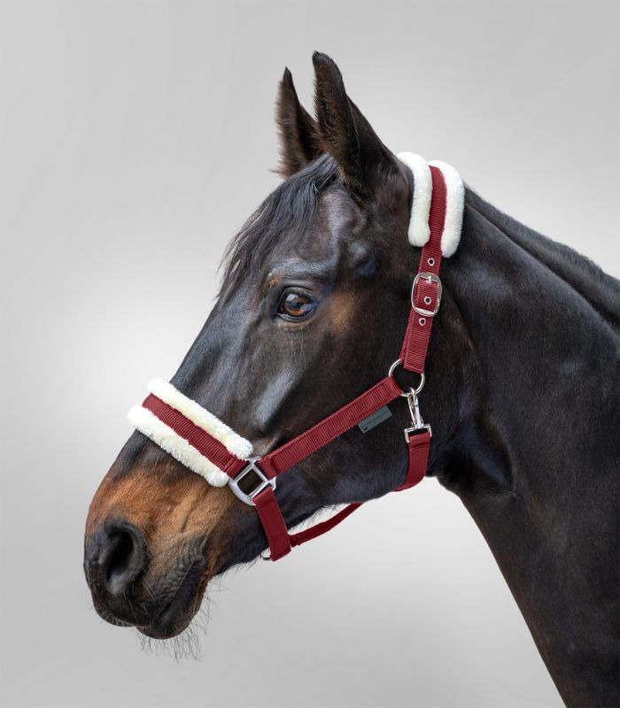 Waldhausen Halter First