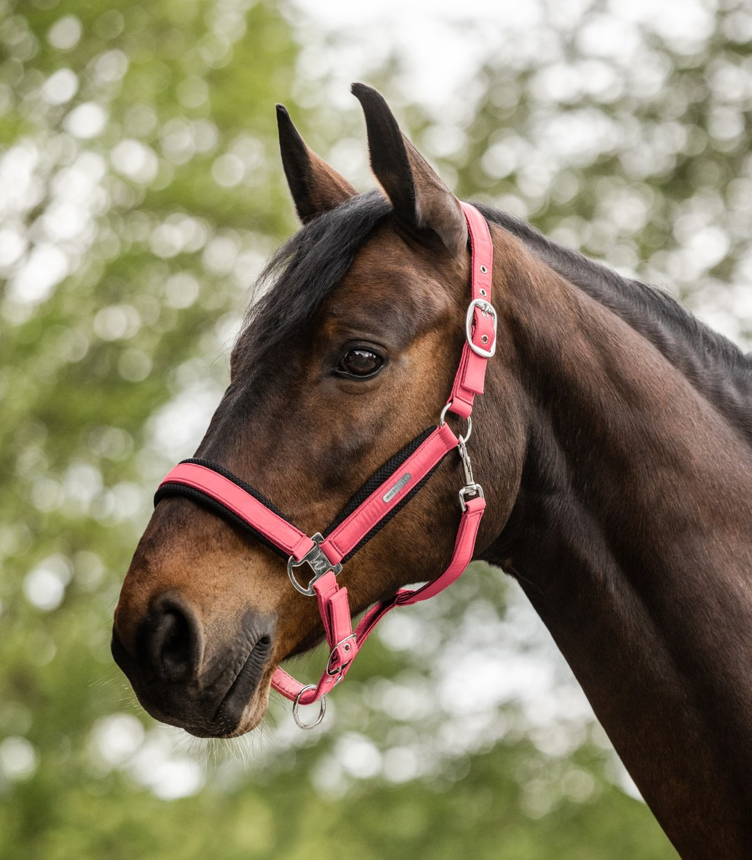Waldhausen Breath Halter