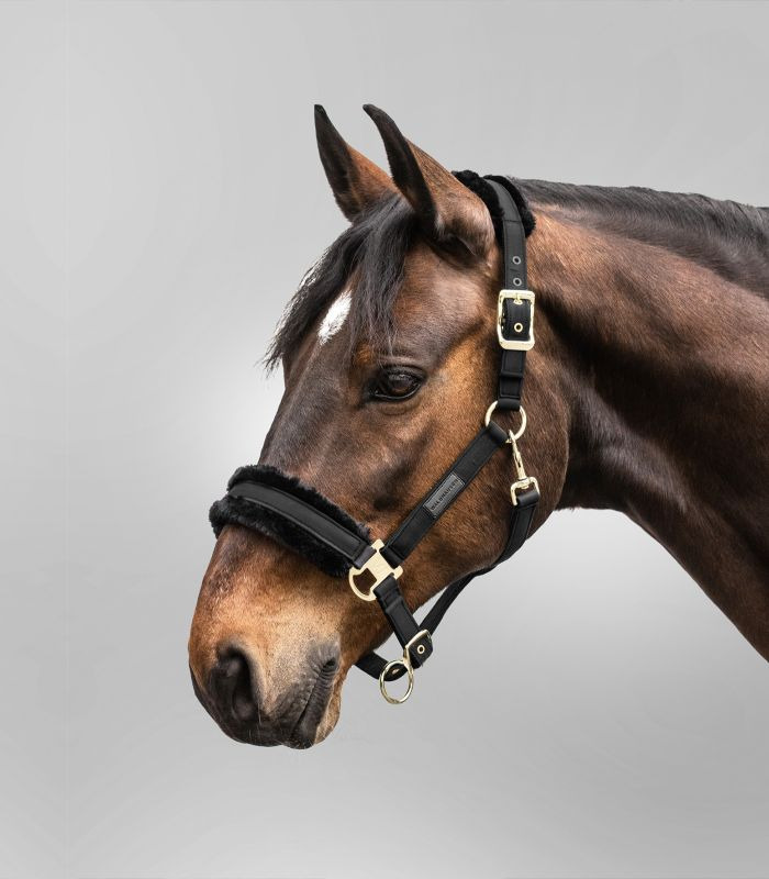 Waldhausen Halter Exclusive