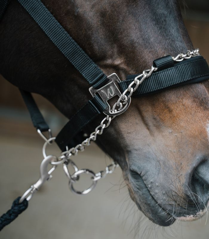 Waldhausen Halter Pro Safety