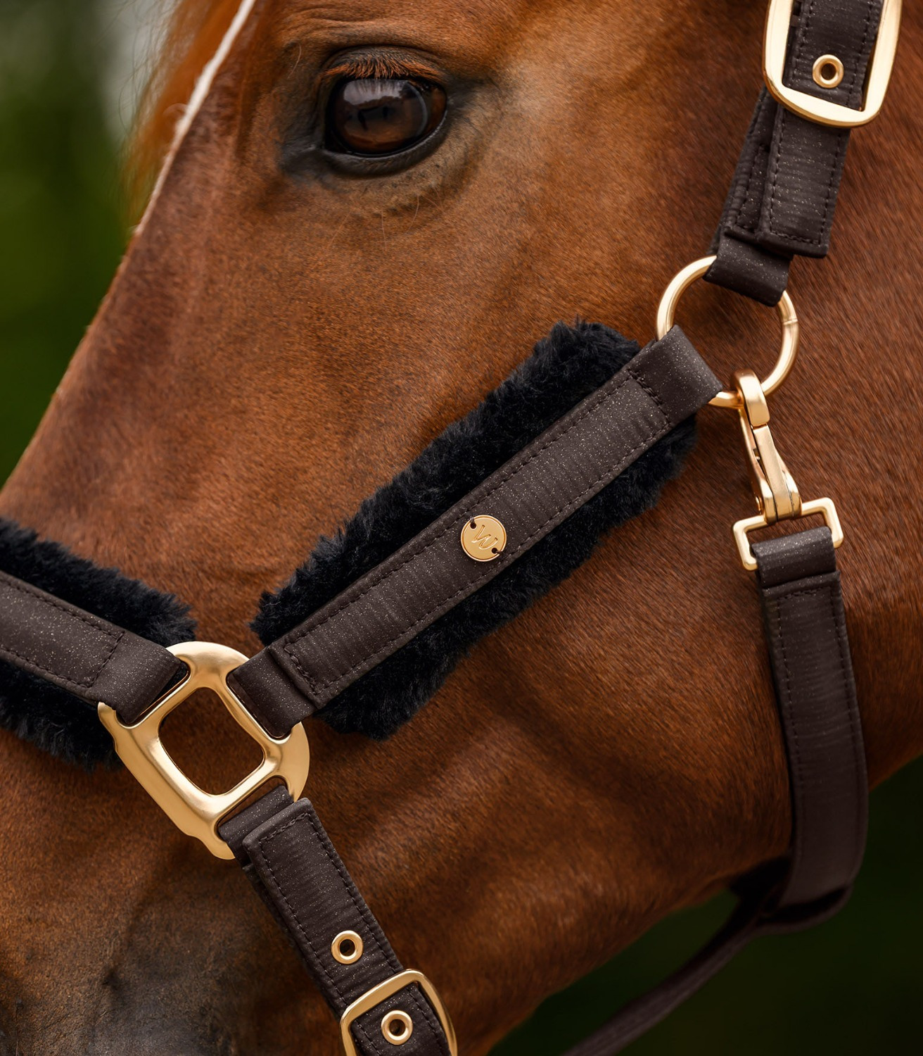 Waldhausen FW26 Halter Set Phoenix