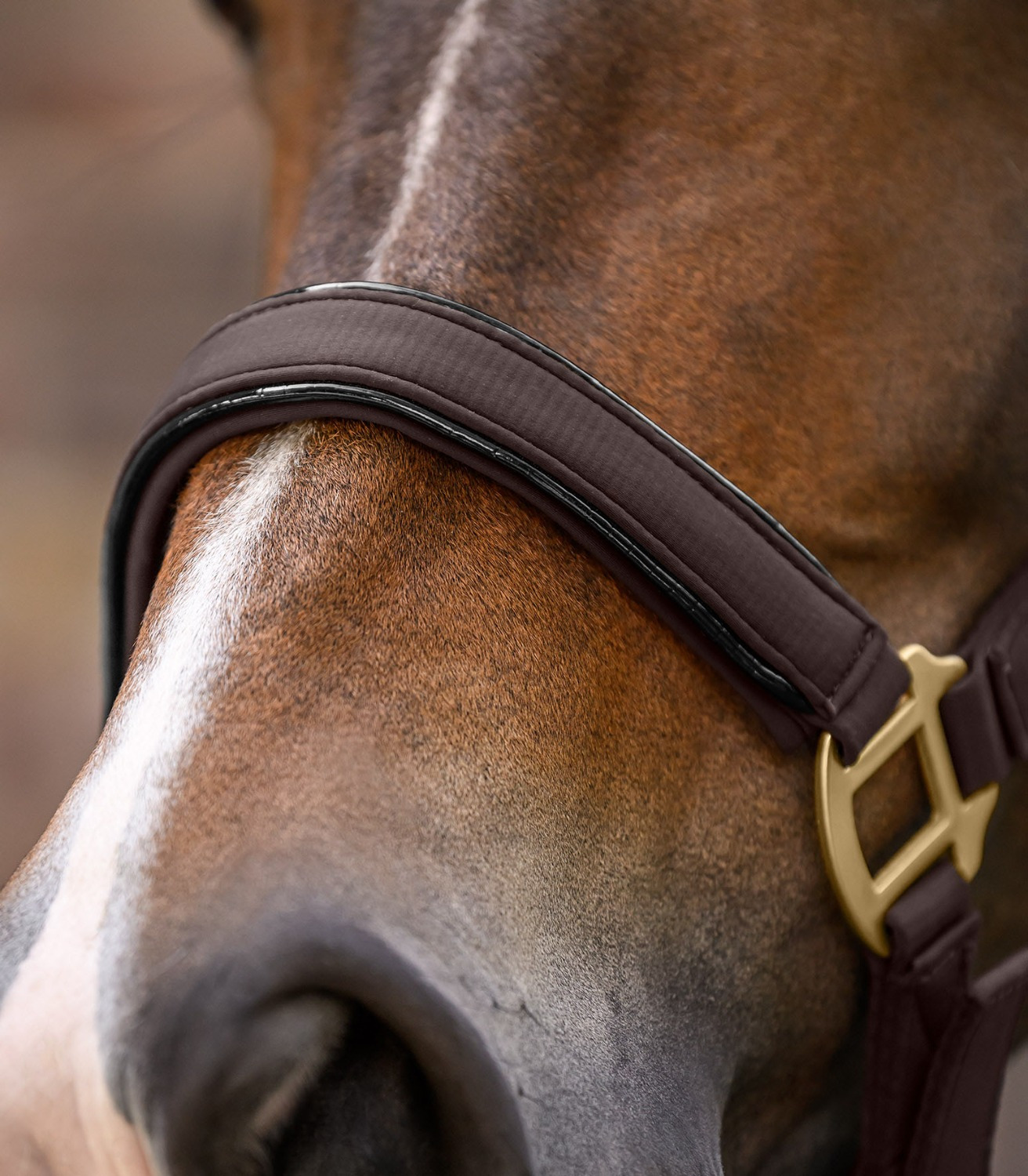 Waldhausen FW26 Halter Set Ubud