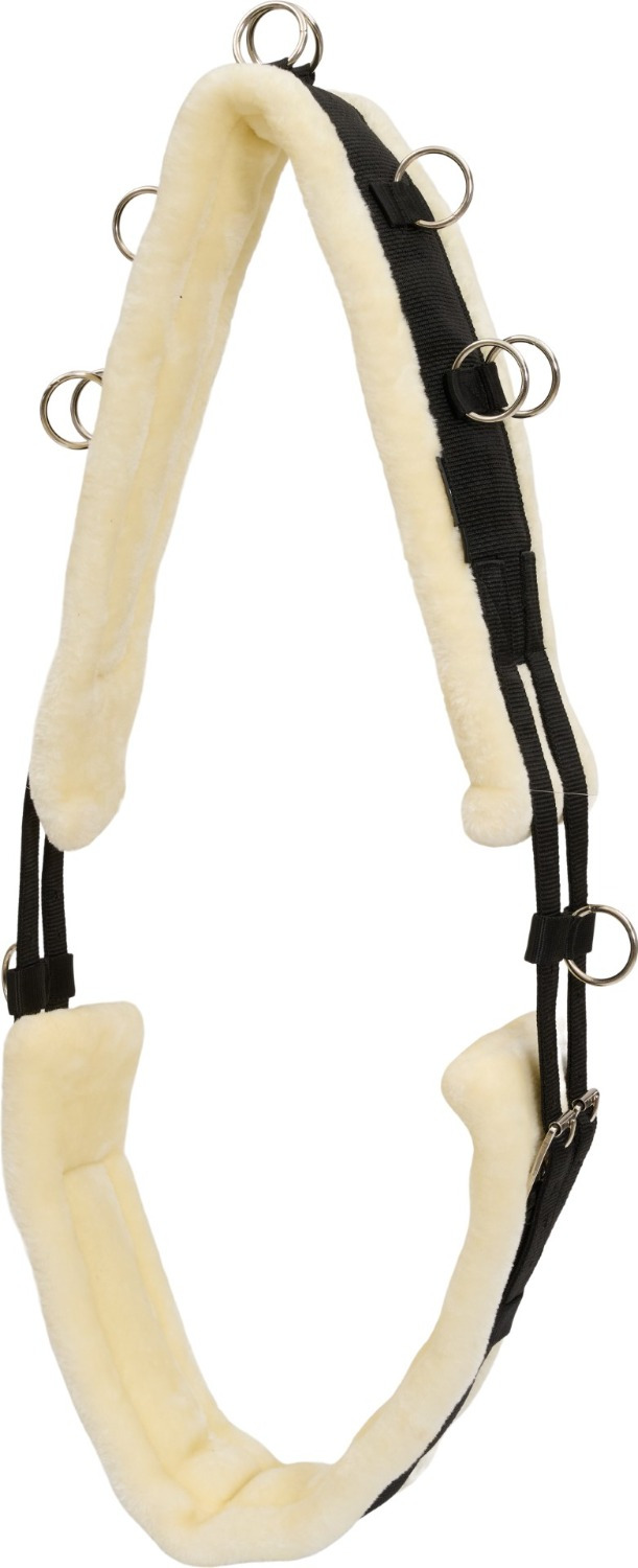 HorseGuard Longiergurte Teddy
