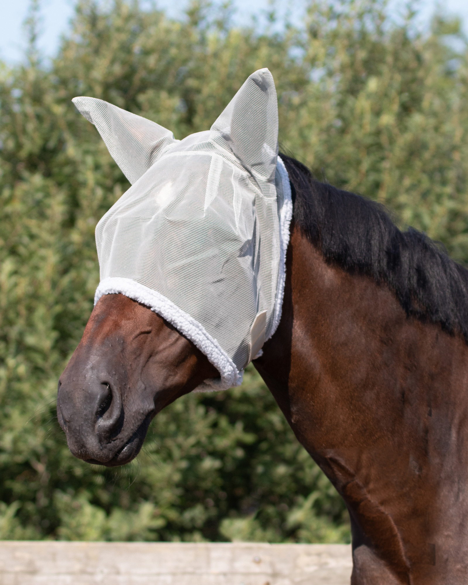 Q-essentials Vliegenkap met oren