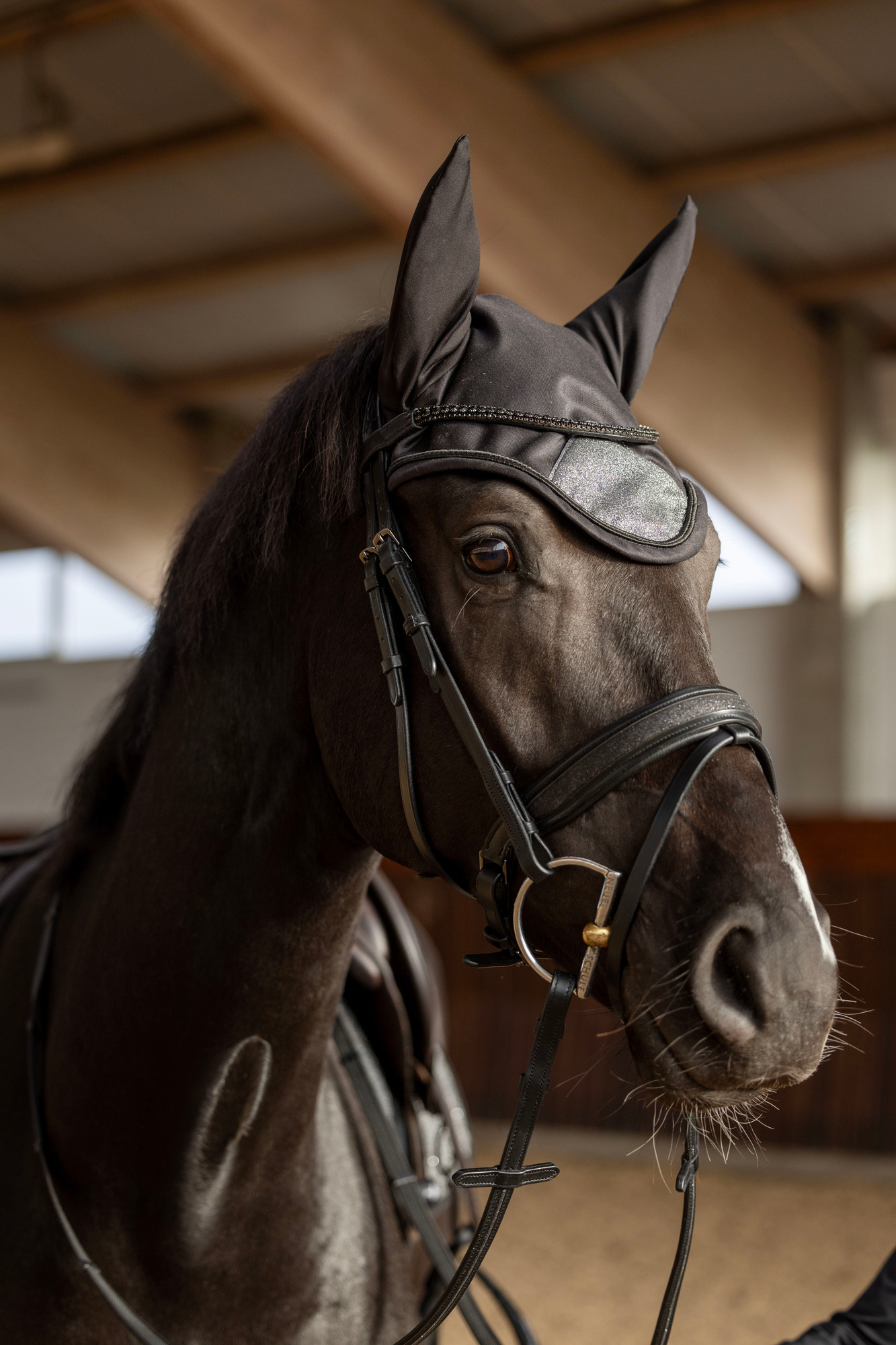 HorseGuard FW26 Fliegenhaube Waco