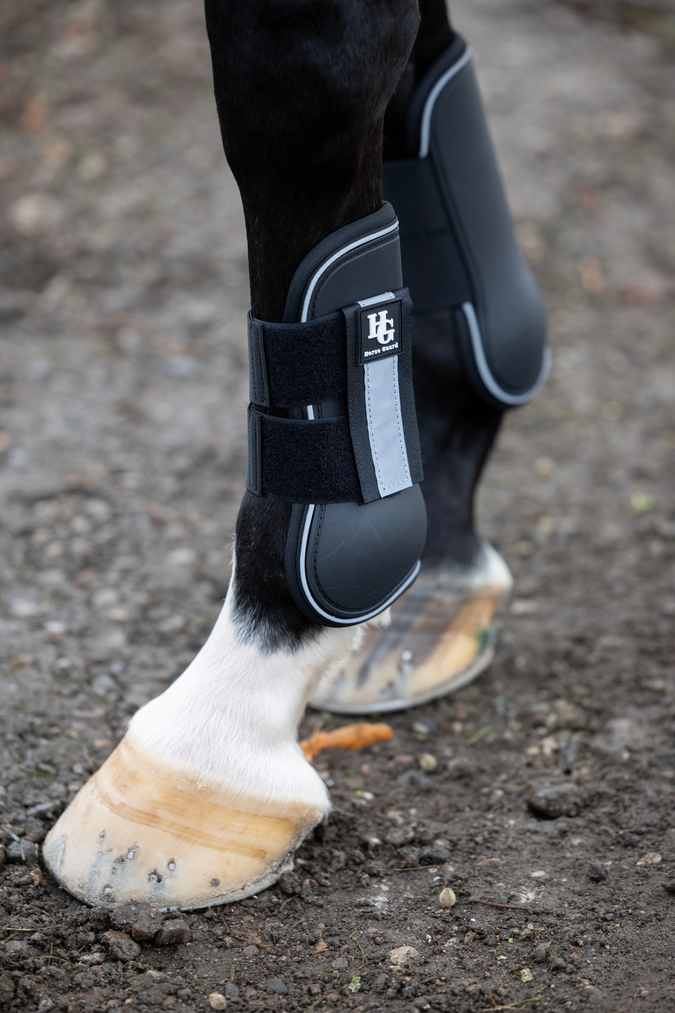 HorseGuard FW26 Sehnengamaschen reflektierend