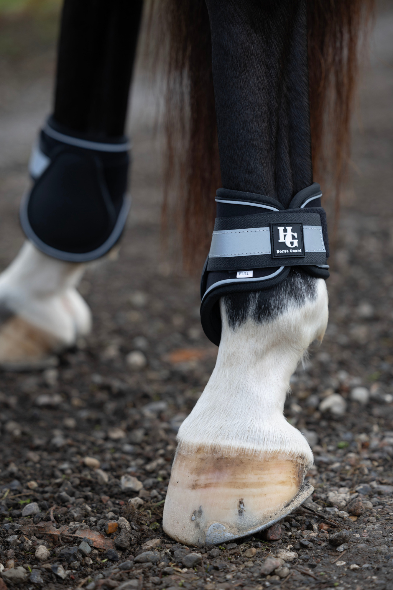 HorseGuard FW26 Fesselkopfgamaschen reflektierend