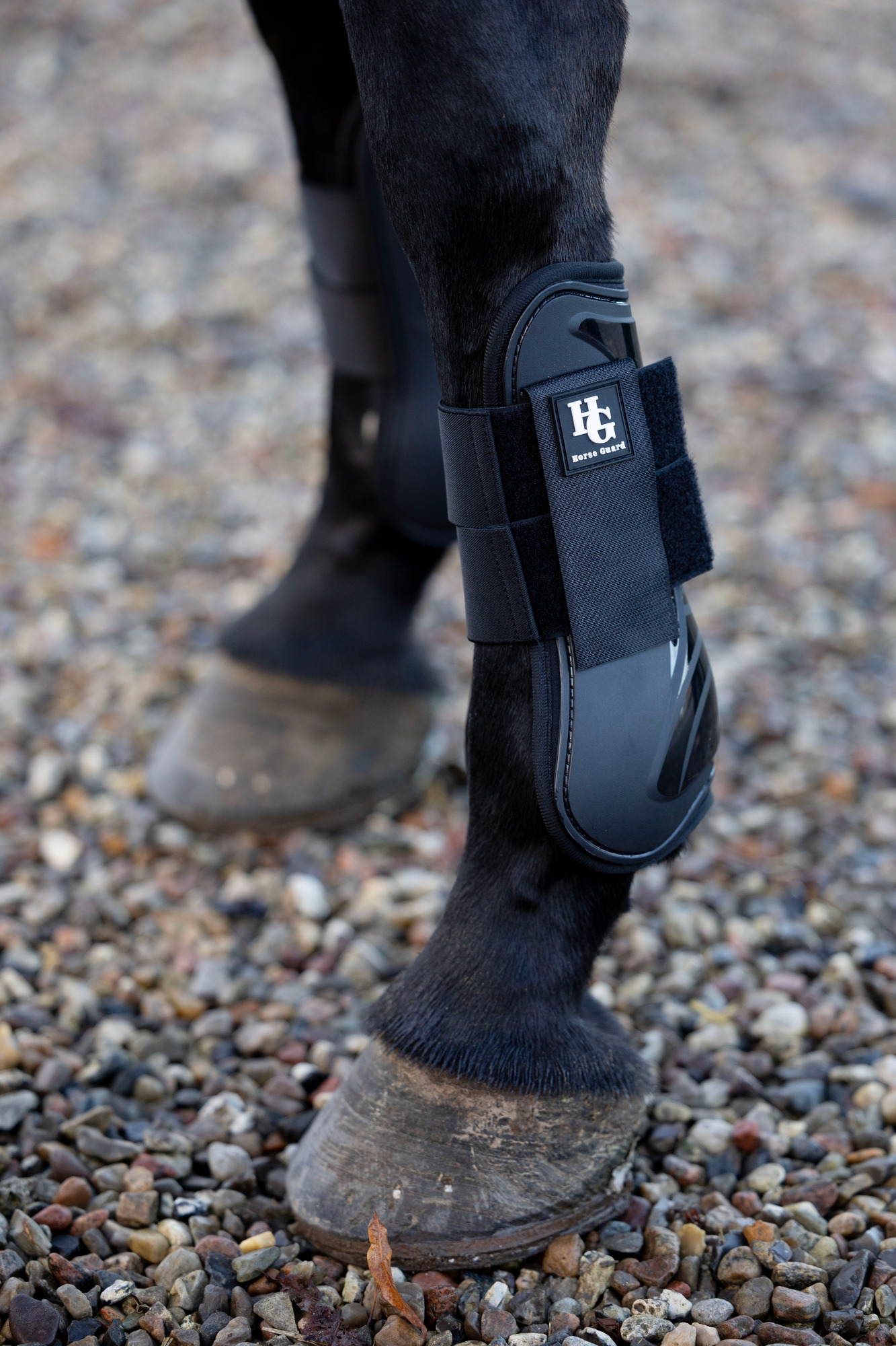 HorseGuard FW26 Sehnengamaschen Berkeley