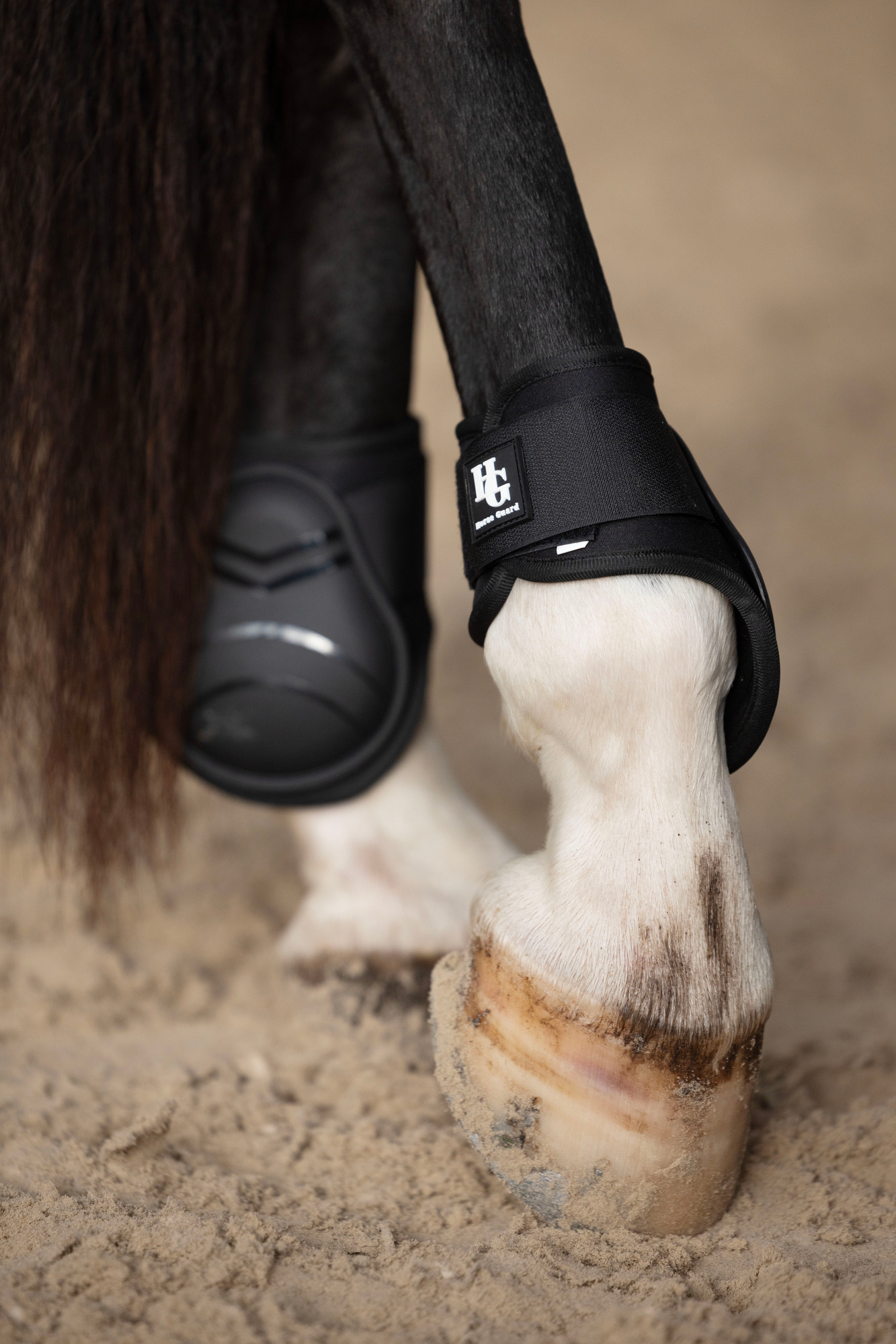 HorseGuard FW26 Fesselkopfgamaschen Berkeley