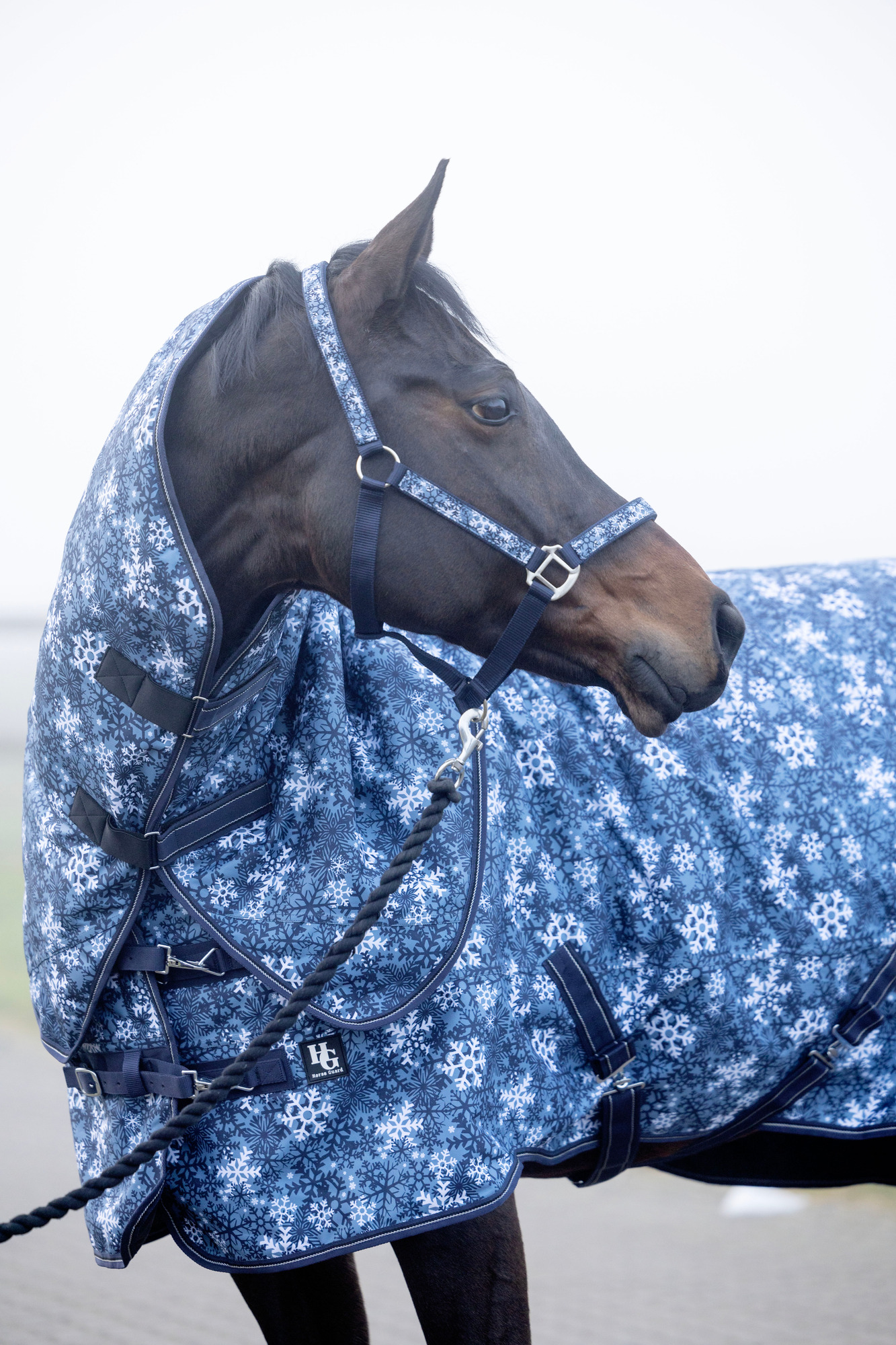 HorseGuard FW26 Halfter Snowflake