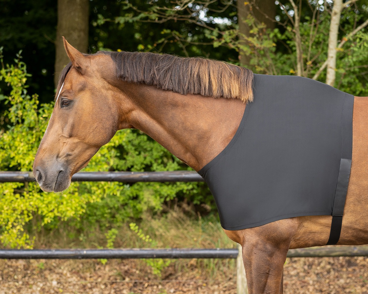 Q-essentials Borstbeschermer elastisch