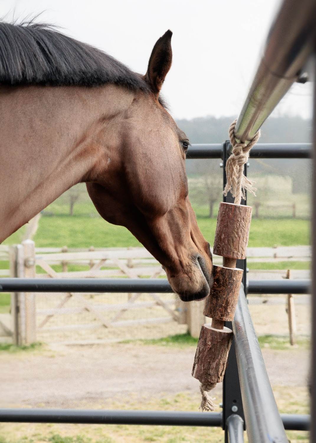 Grooming Deluxe Wooden Relax Horse Toy Natural