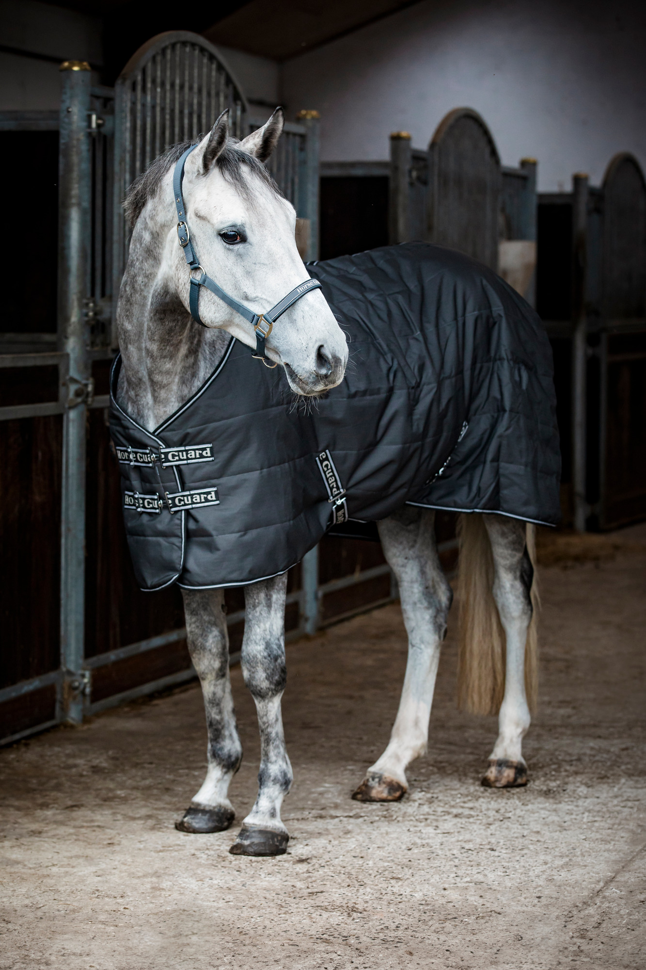 Horseguard FW25 Sophie 600D Stalldecke 300 g
