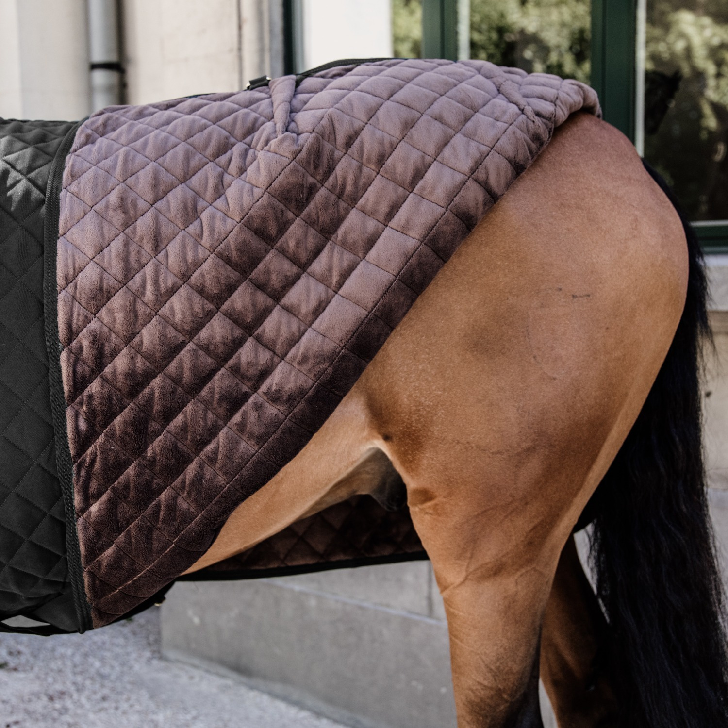Kentucky Show Rug 160g Black