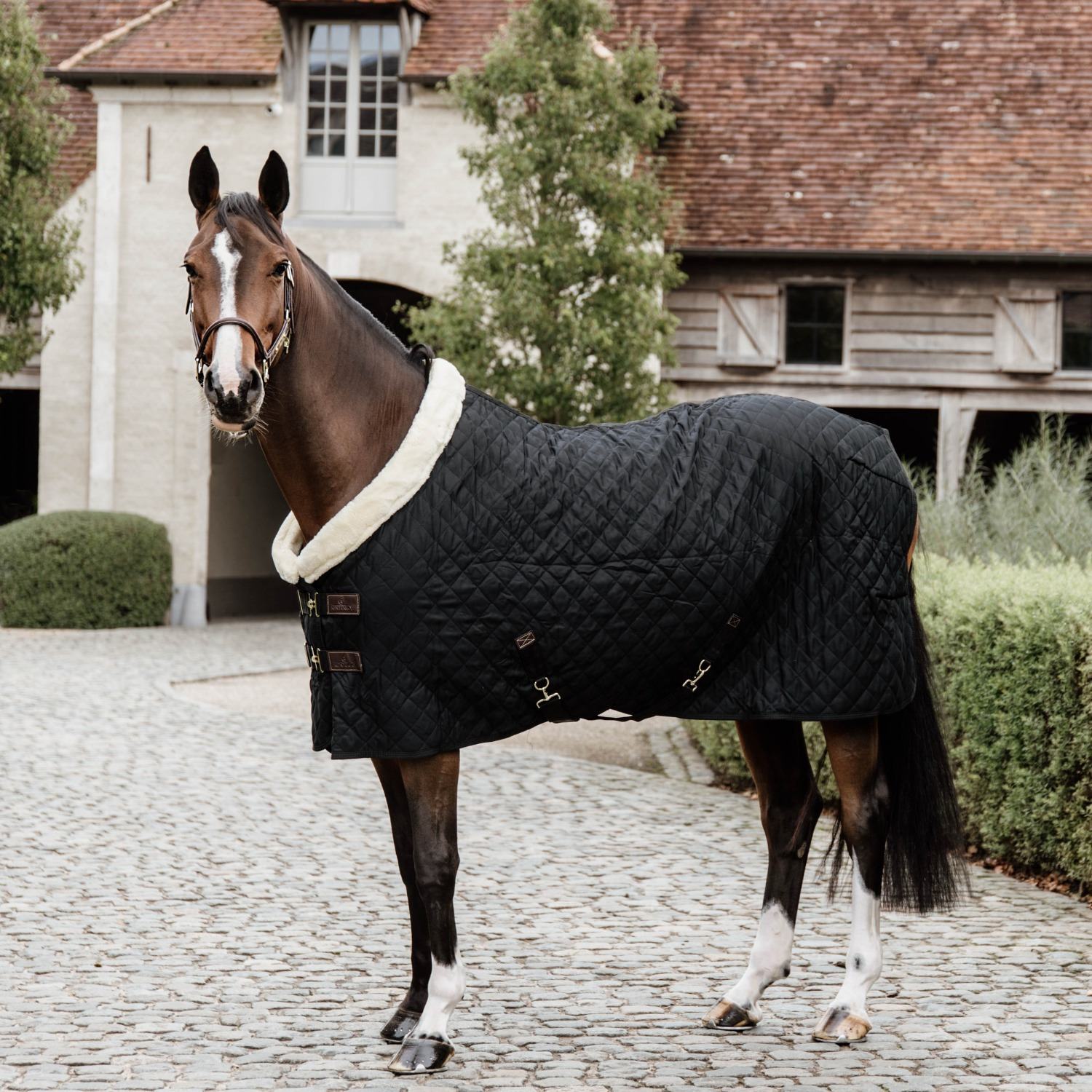 Kentucky Show Rug 160g Black