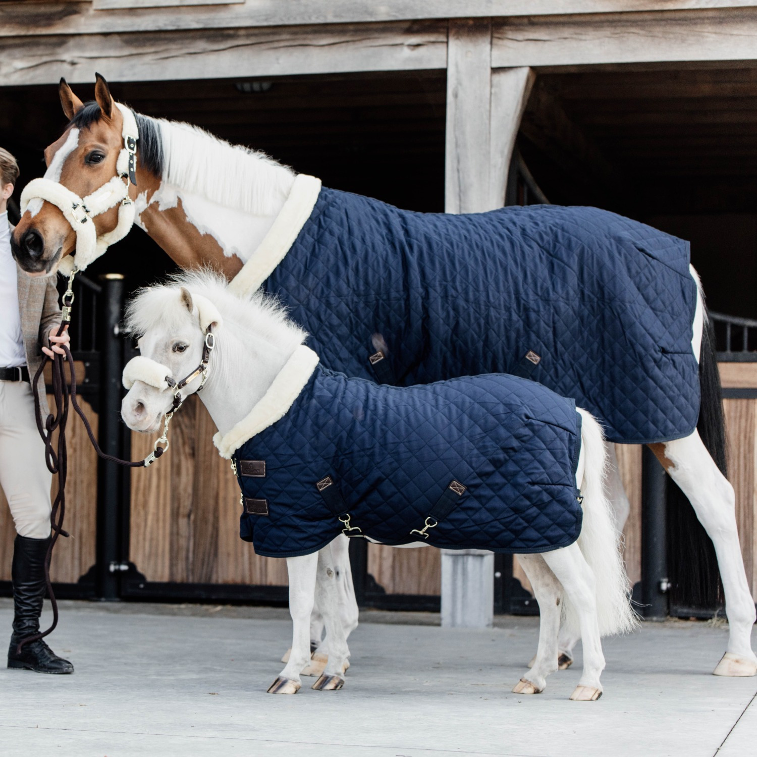 Kentucky Show rug 160g