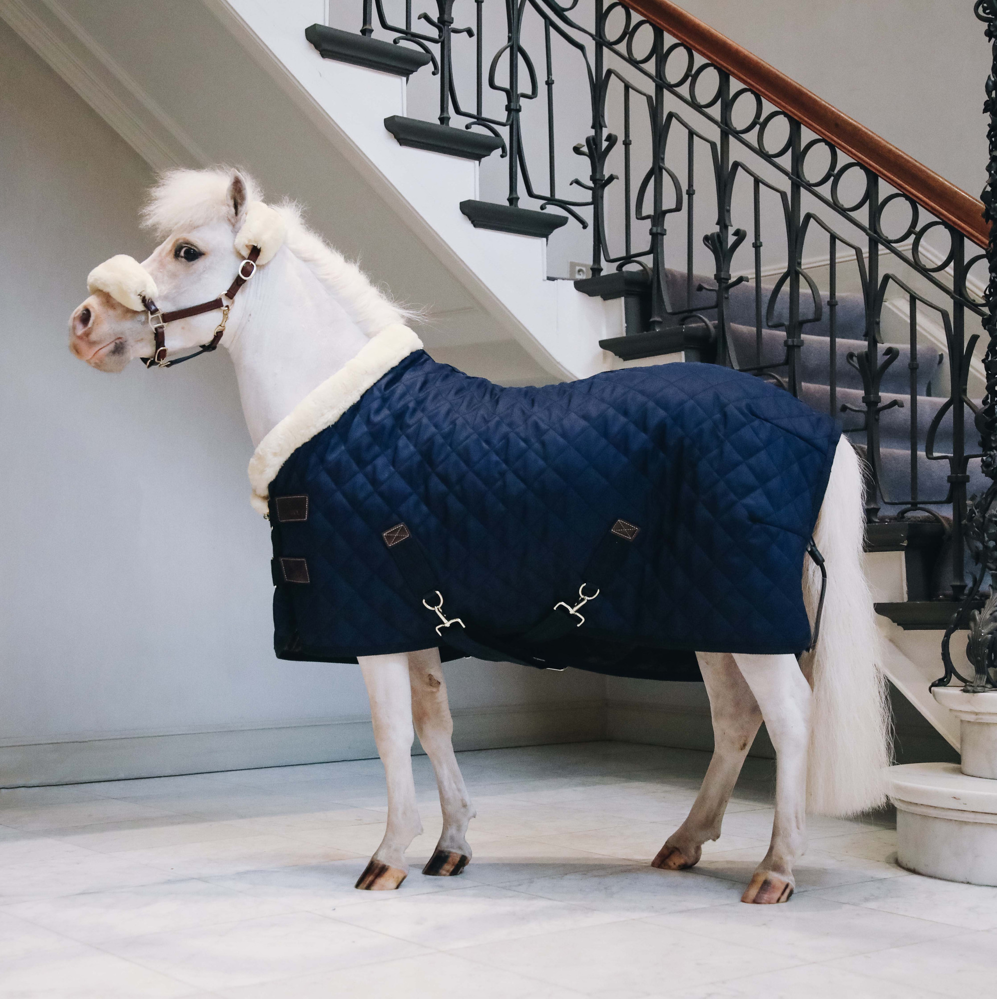 Kentucky Show Rug Mini 160g