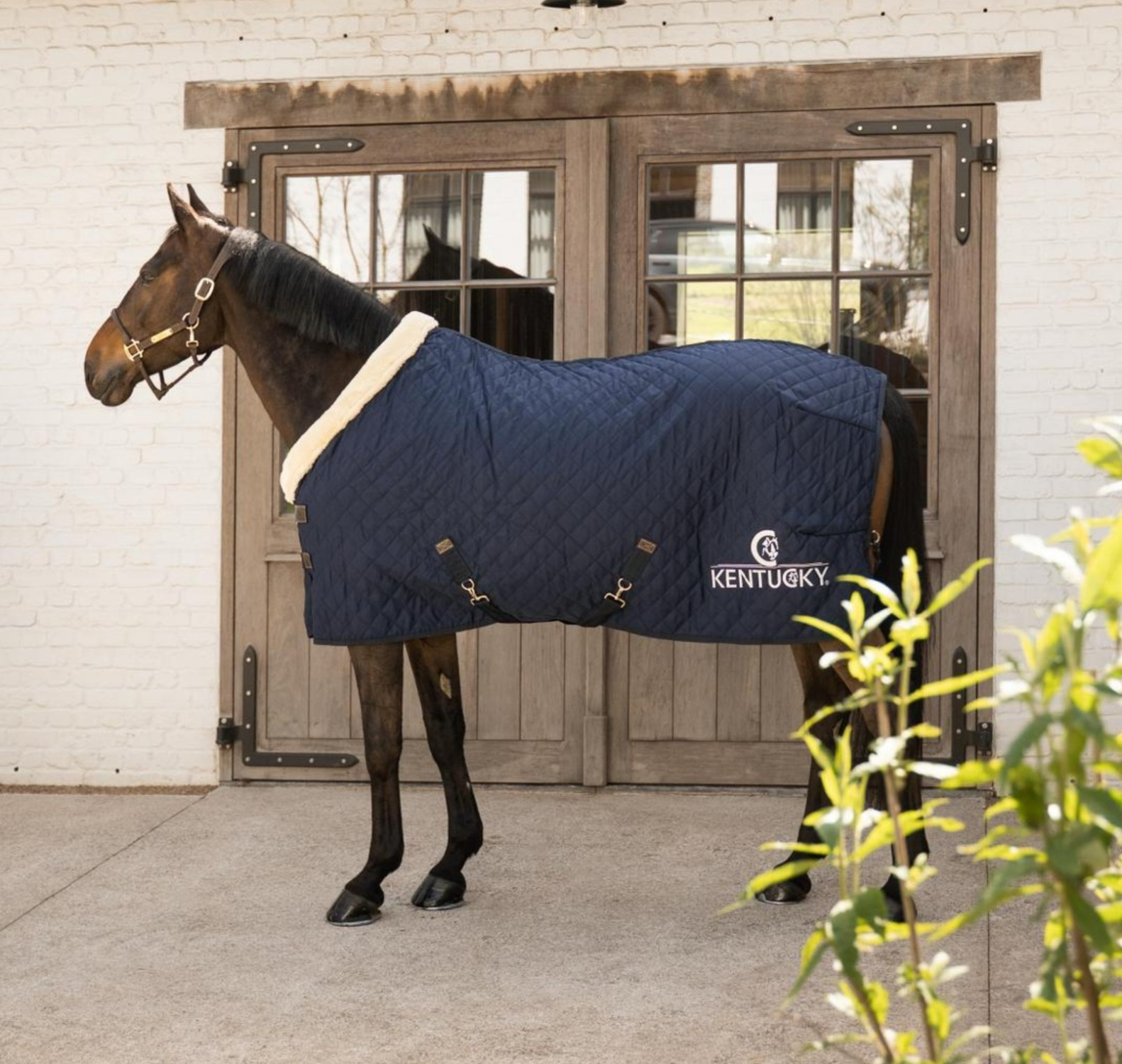 Kentucky Show Rug with Kentucky Horsewear Logo