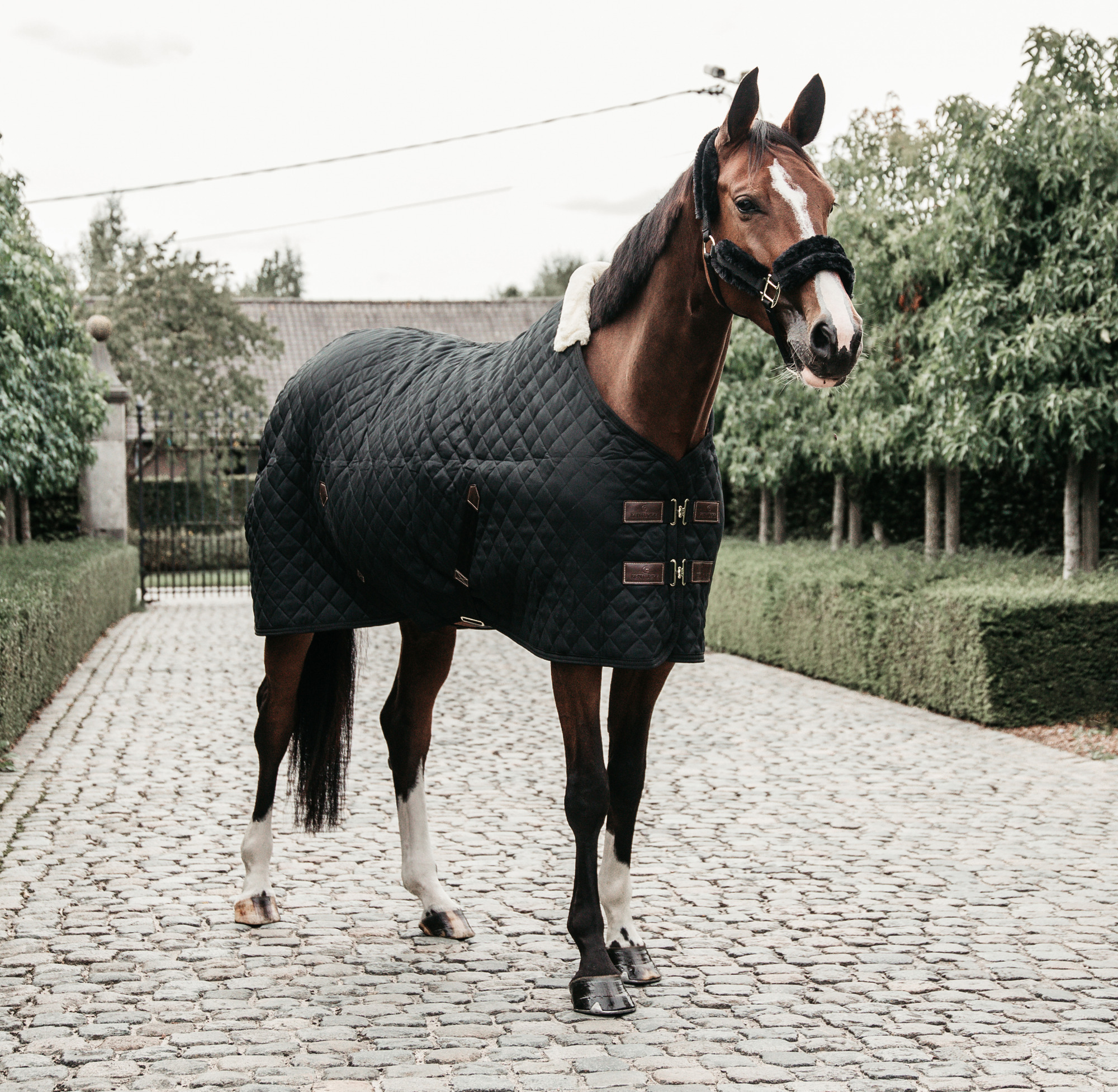 Kentucky Stable Rug 400g Black
